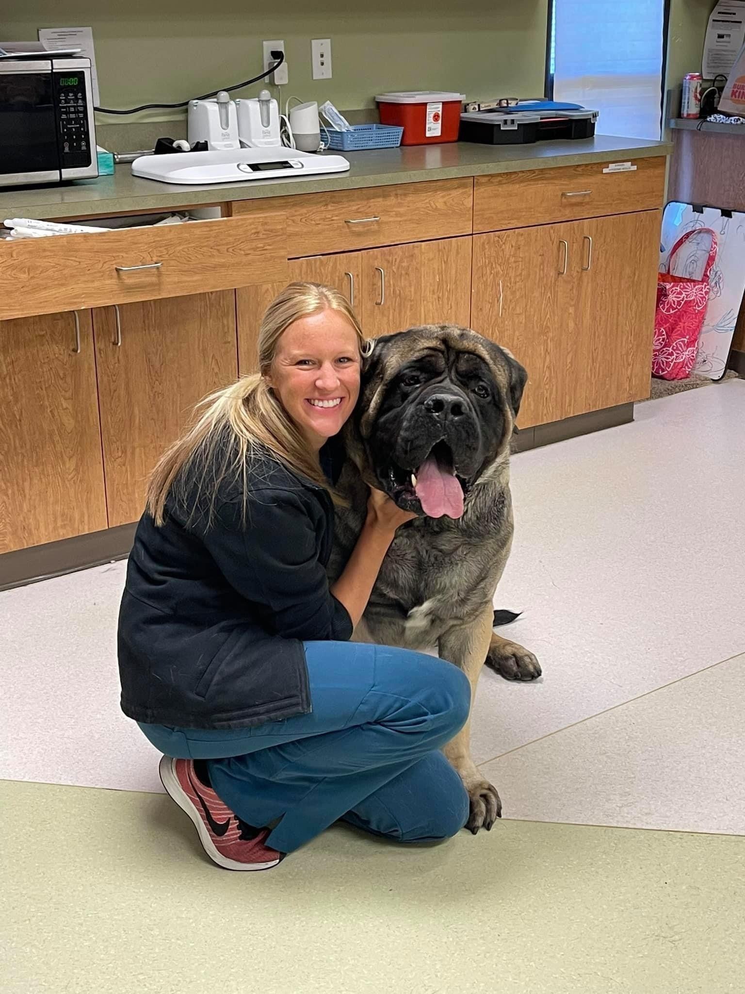 west toledo animal hospital