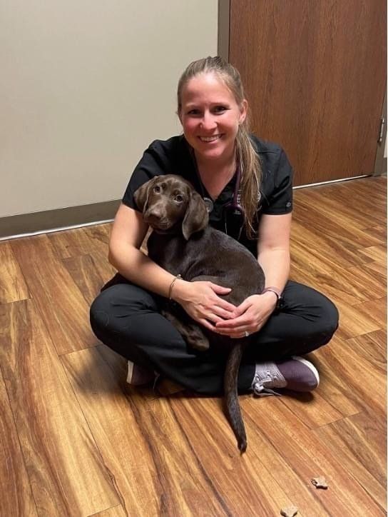 west toledo animal hospital