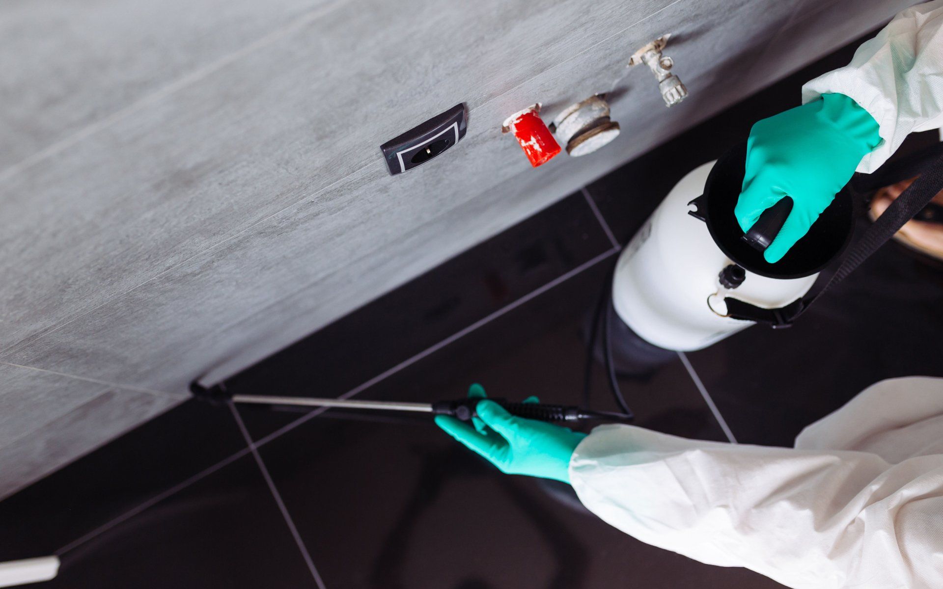 Got Bugs Pest Control Ant Control Yuba City, CA