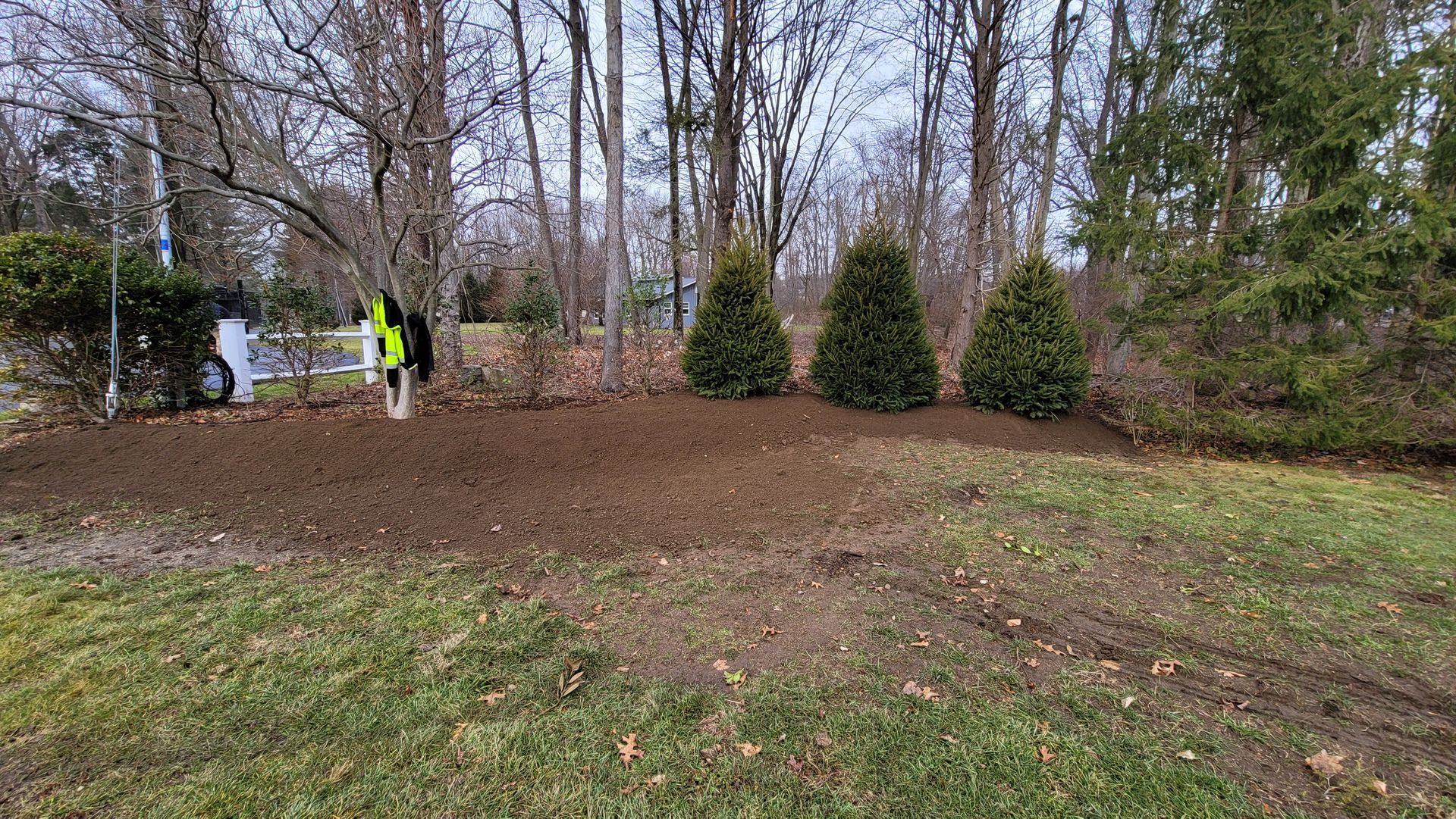 A person is standing in the middle of a field with trees in the background.