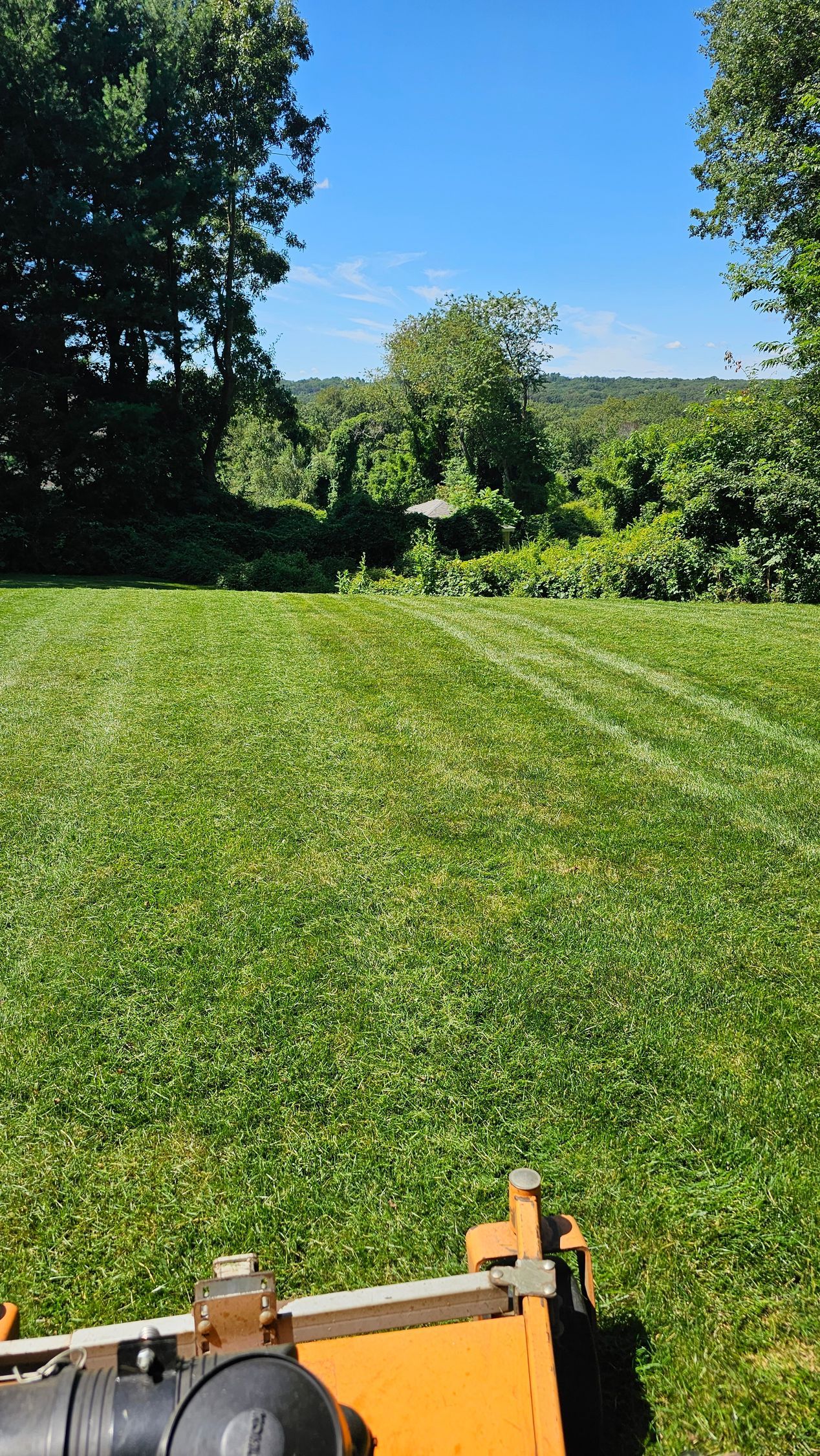 A lawn mower is cutting a lush green lawn.
