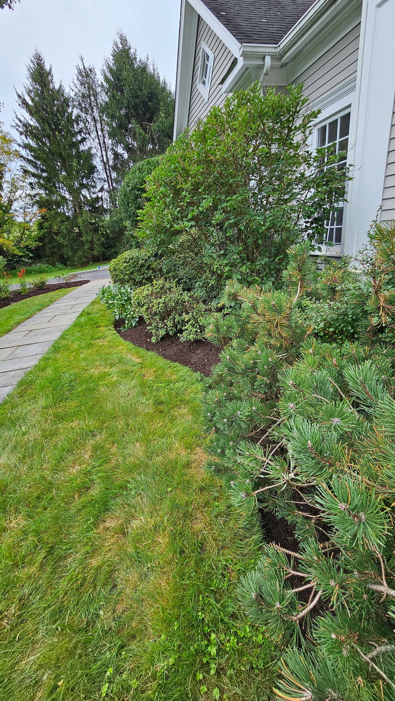 A white house with a lush green lawn and trees in front of it.