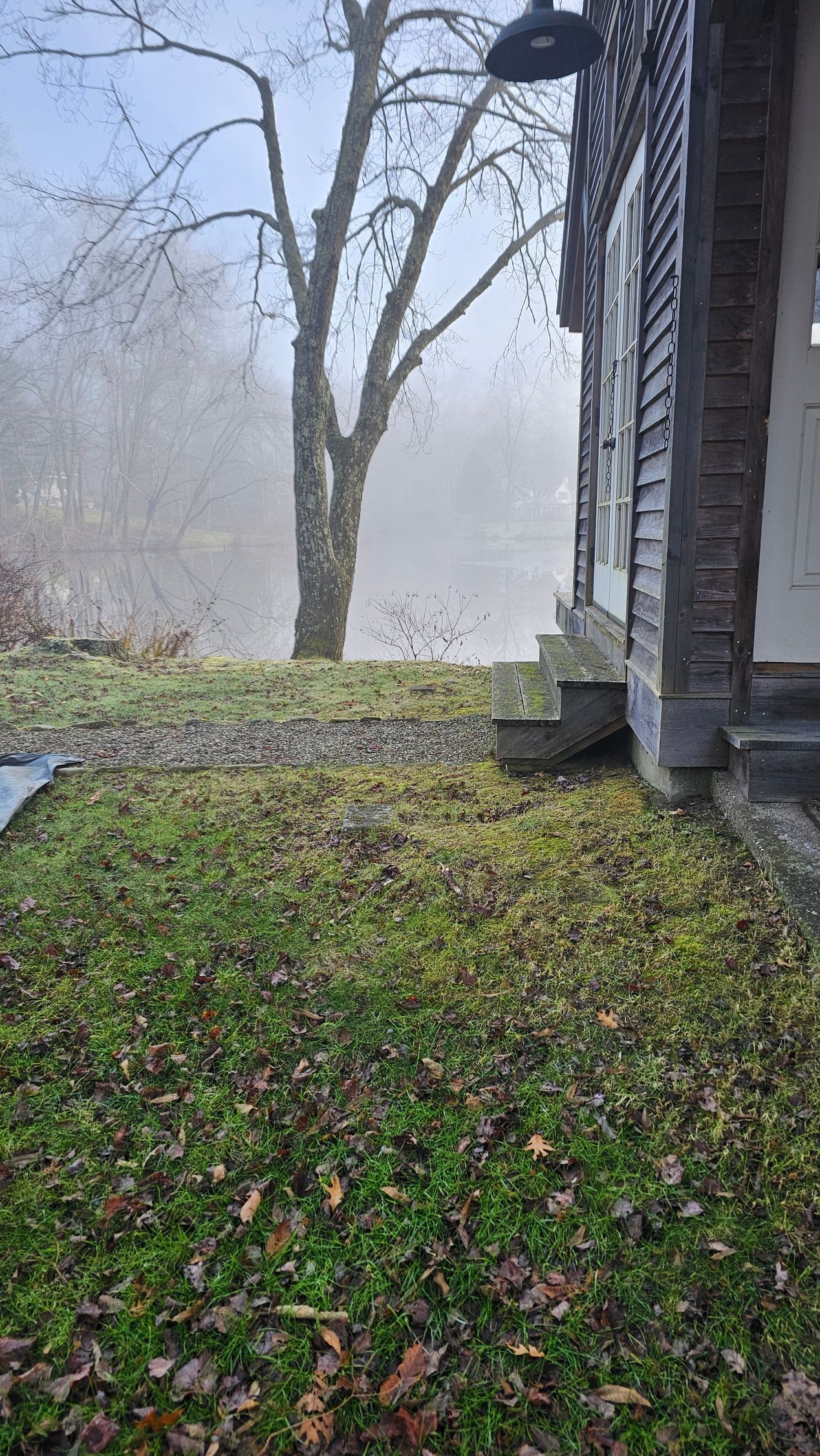 A house with a tree in the background on a foggy day.