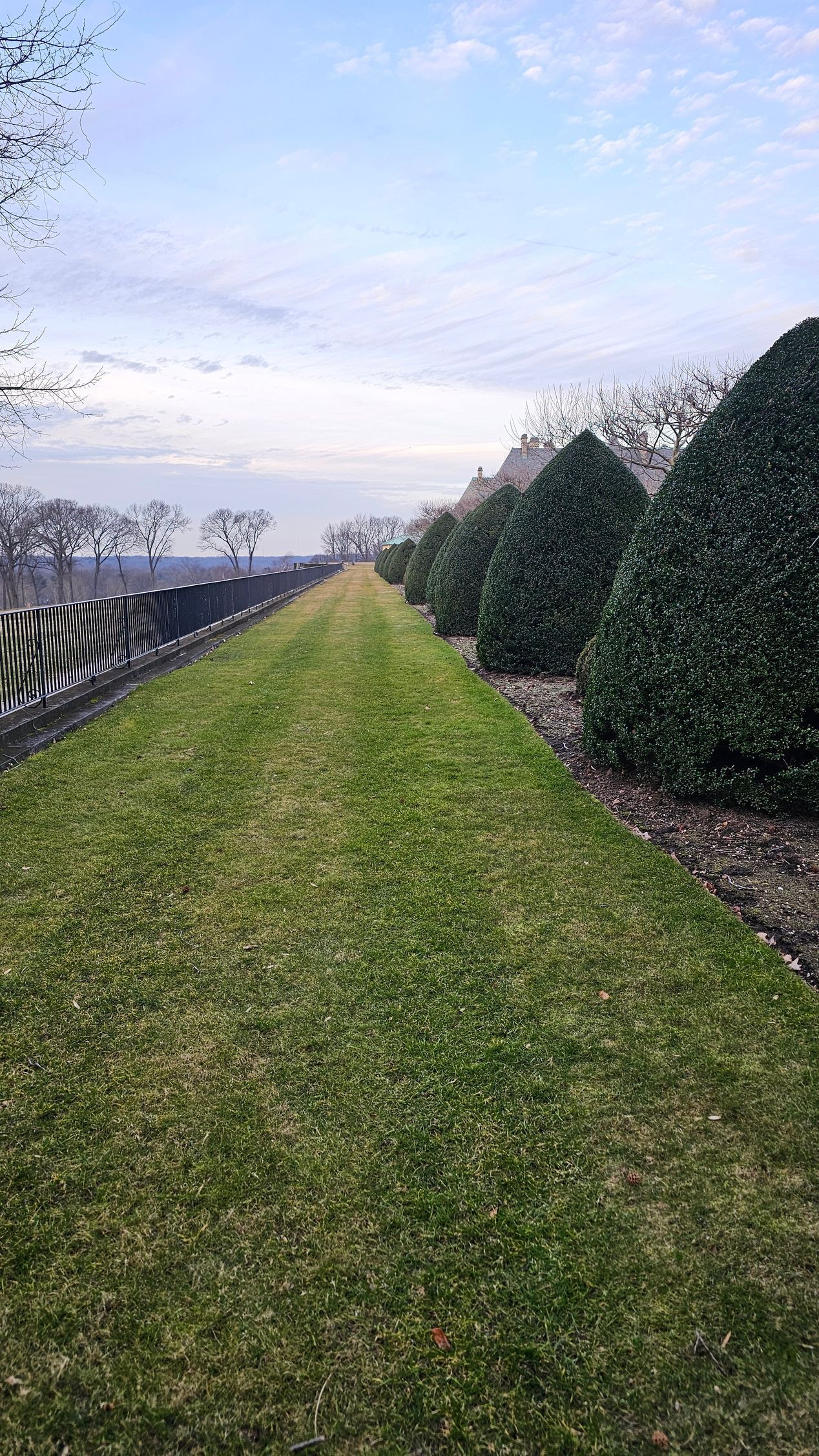 A lush green field of grass with a fence in the background.