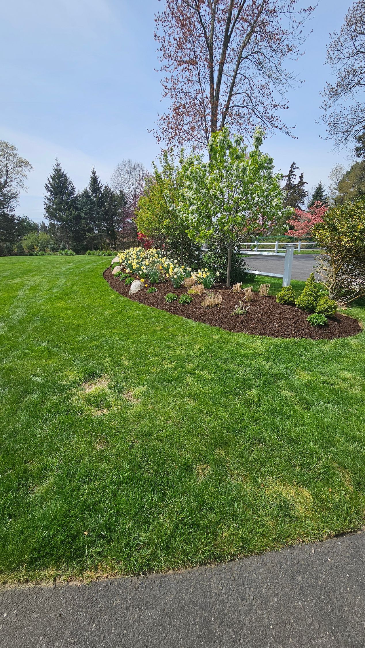 A lush green lawn with a white fence and trees in the background.