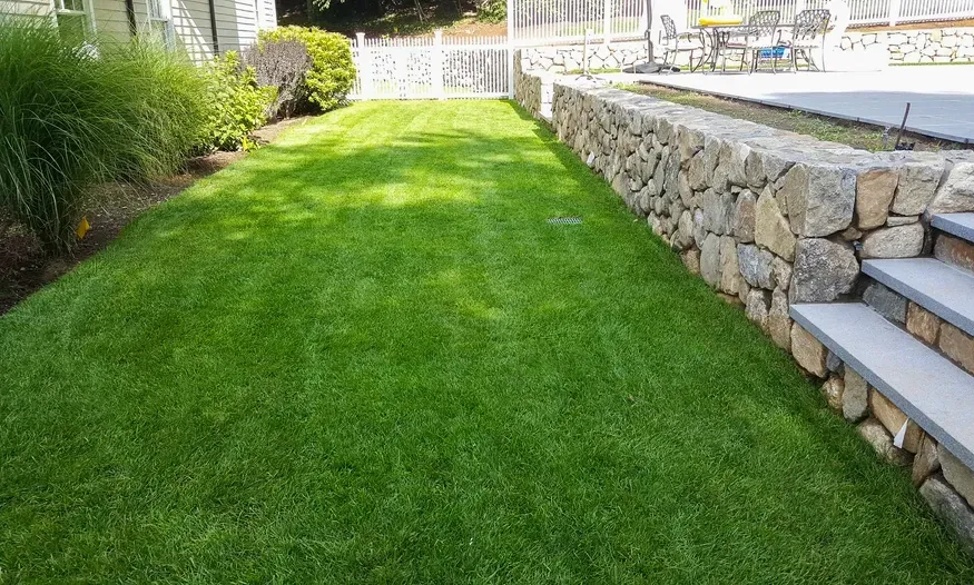 A lush green lawn next to a stone wall and stairs.