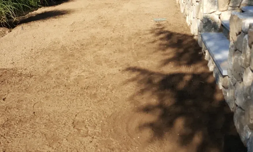 A shadow of a tree is cast on the ground next to a stone wall.