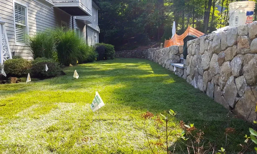 A lush green lawn with a stone wall and a house in the background.