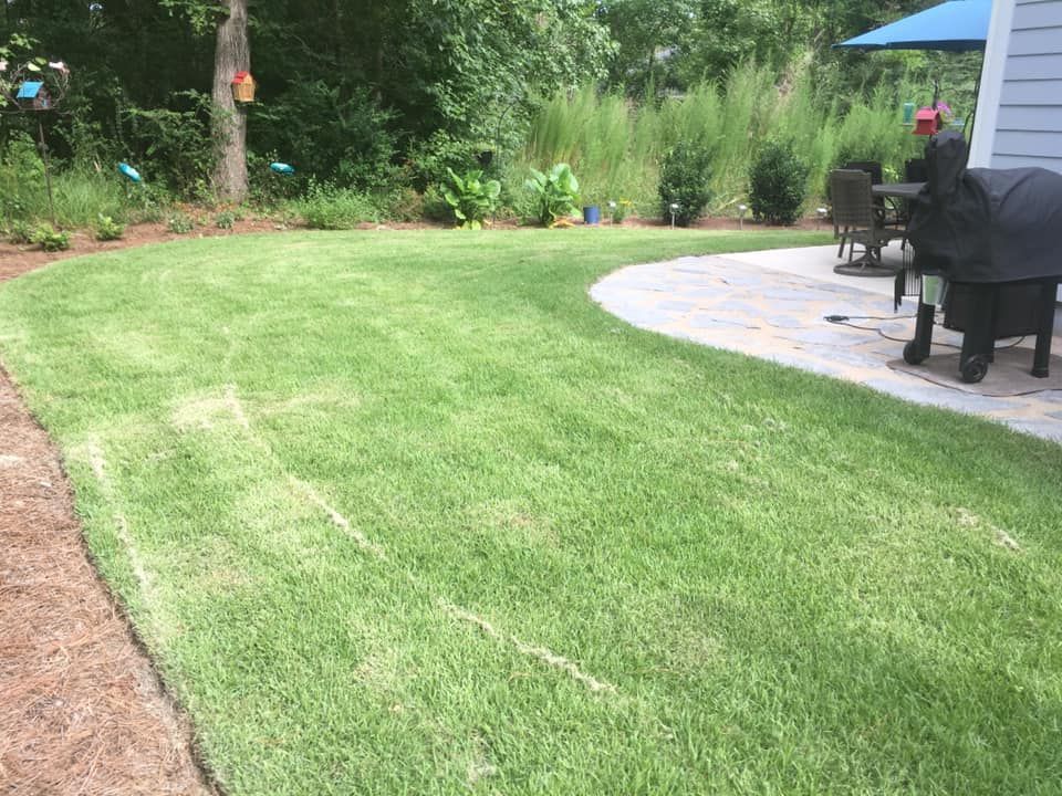 Lush green lawn curving past a patio with a smoker. Blue umbrella and trees in the background.