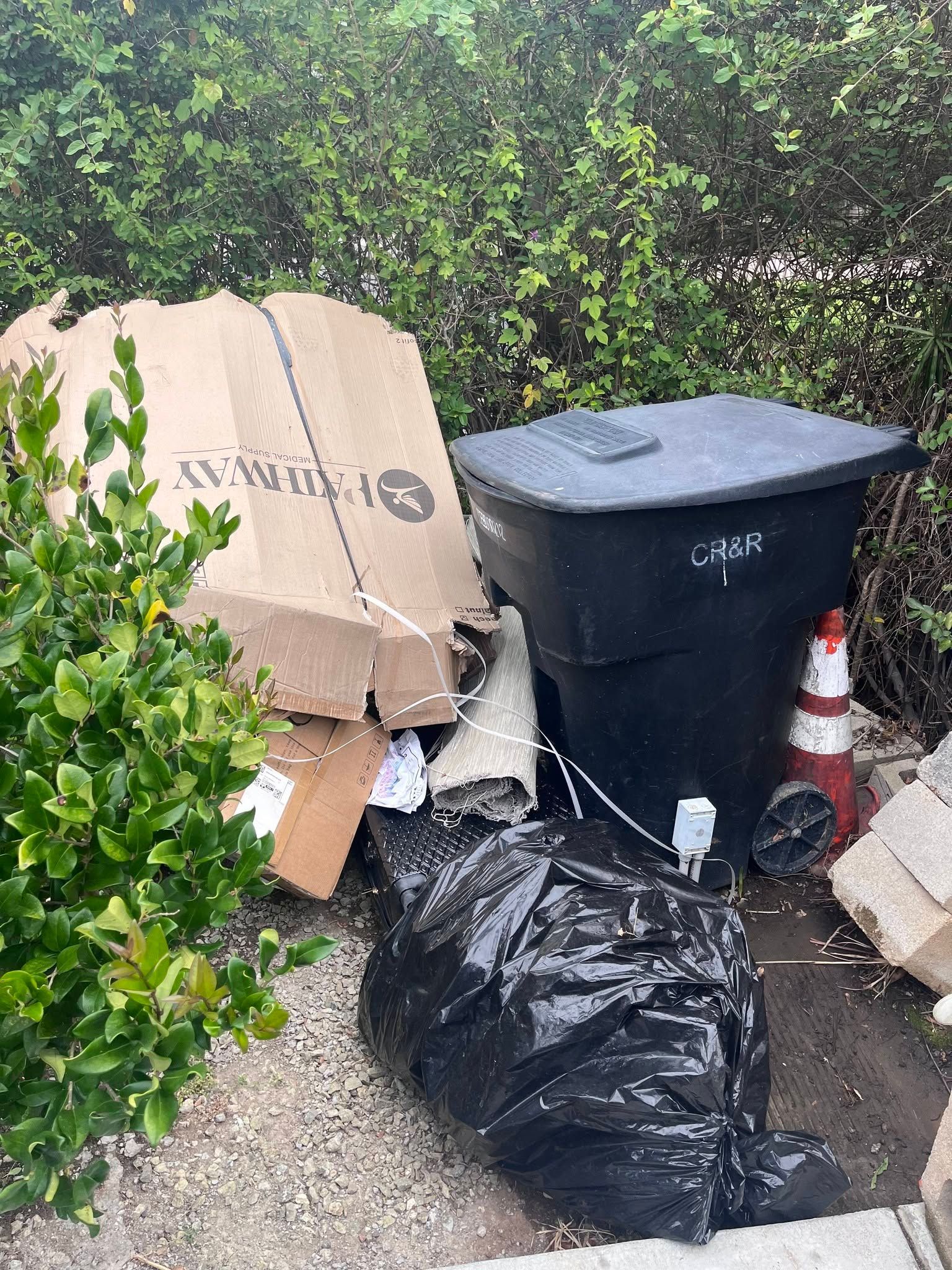 Overflowing trash bags and bins beside a hedge along a roadside.