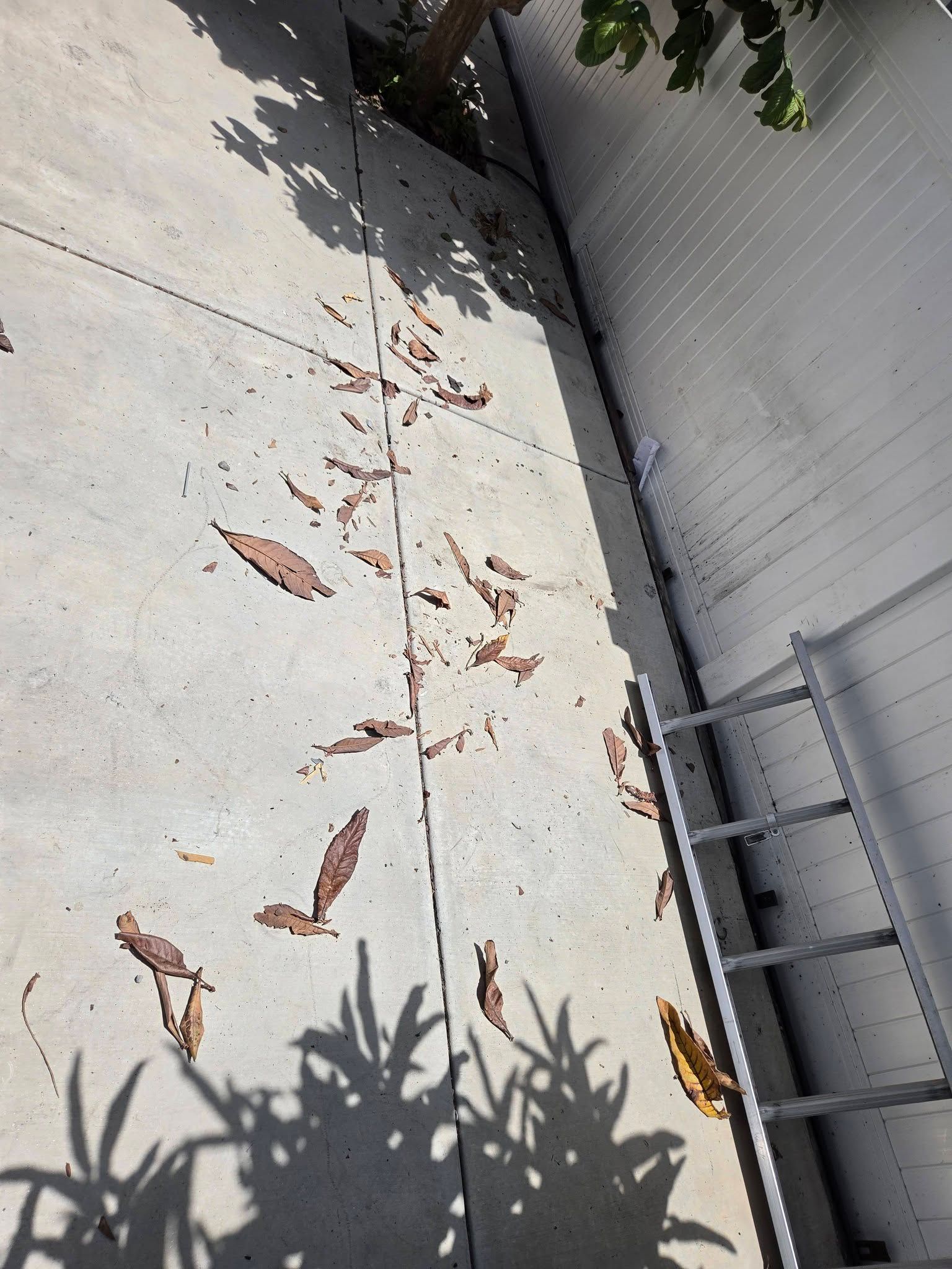 Concrete patio with peeling paint beside a gray wall, with plant shadows in the foreground.