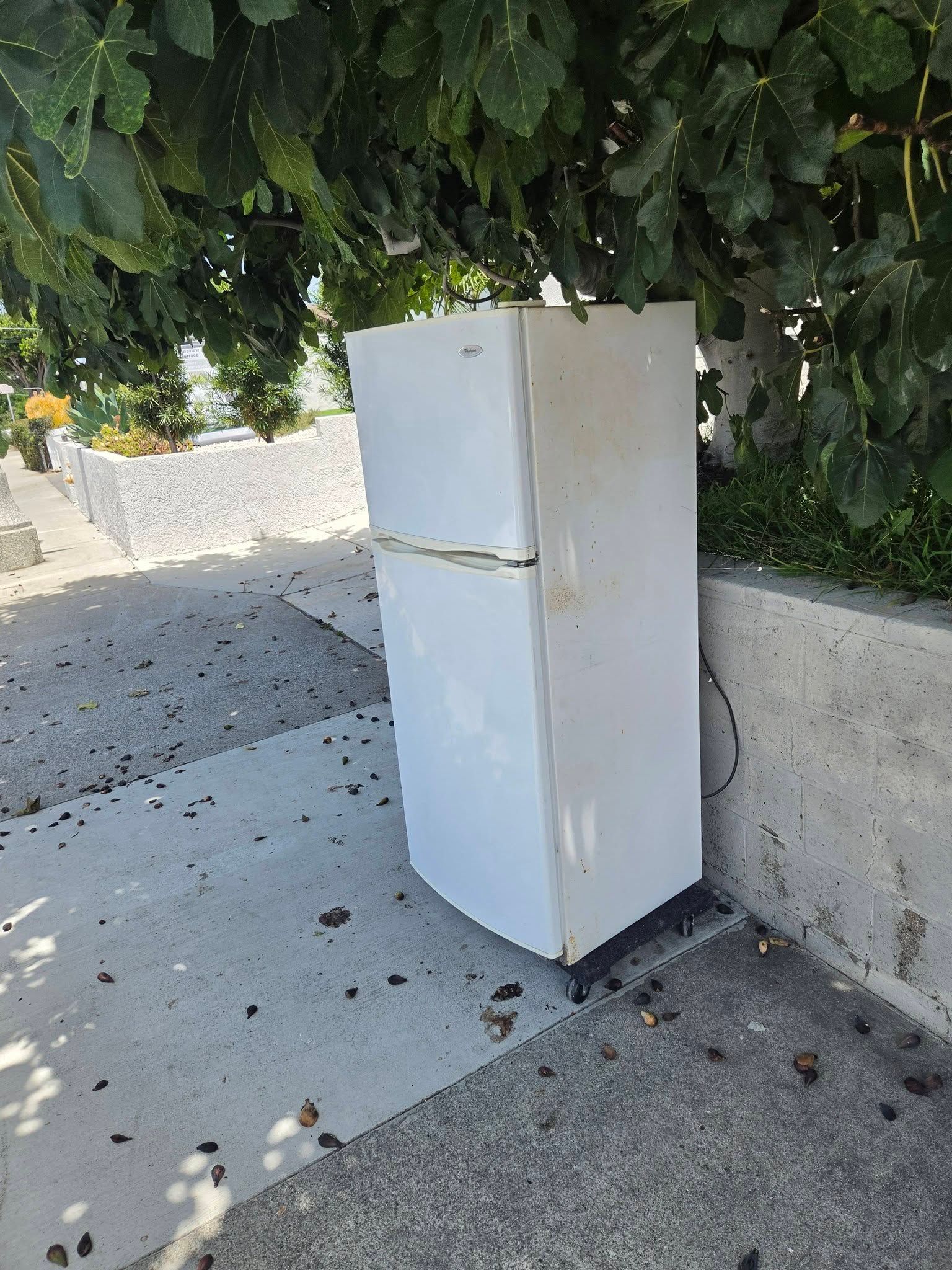White refrigerator standing outdoors beside a low concrete wall under leafy tree shade.
