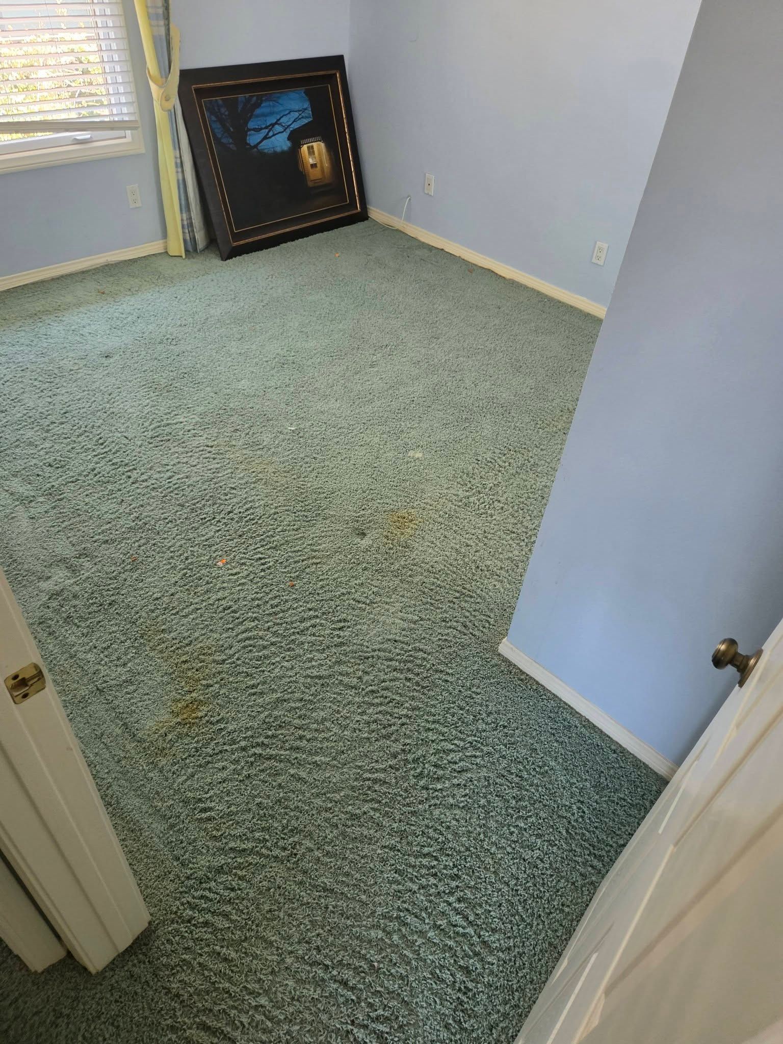 Empty light-blue bedroom with green carpet and a framed picture leaning against the far wall