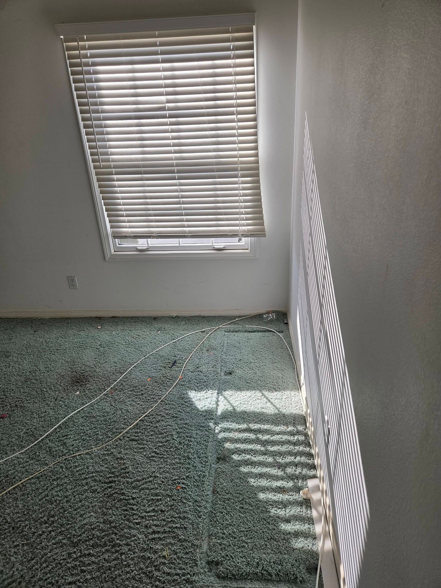 Empty room with green carpet, white walls, and sunlight through window blinds casting striped shadows.