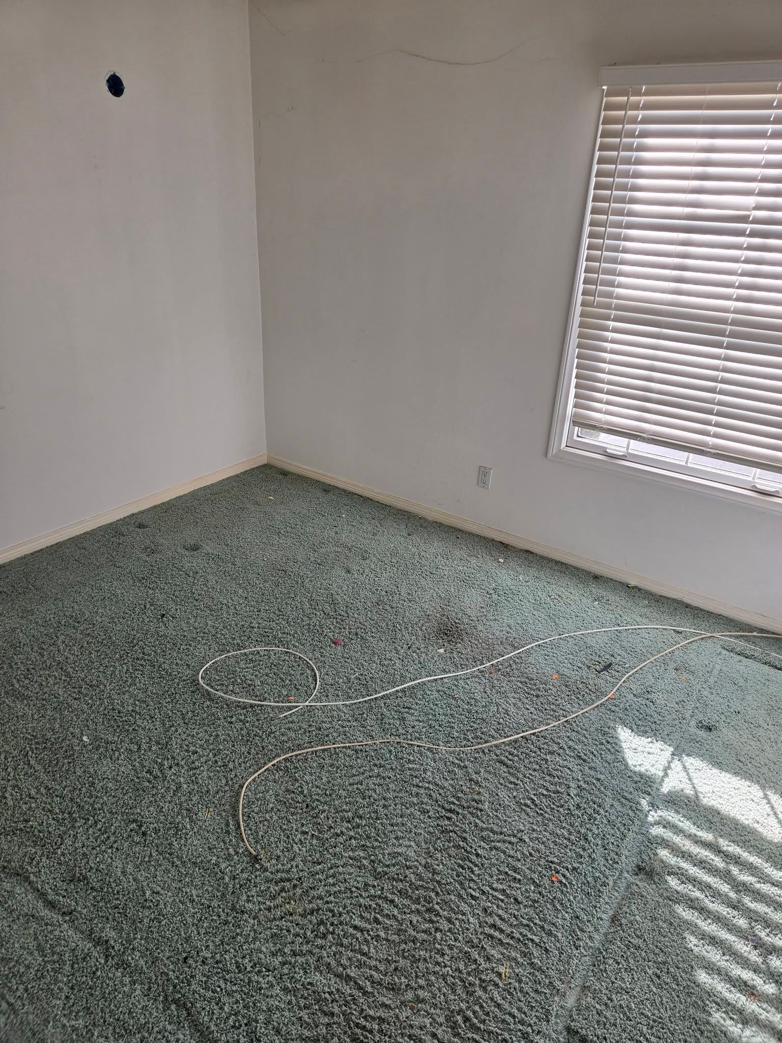 Empty room with green carpet, white walls, and sunlight through blinds.