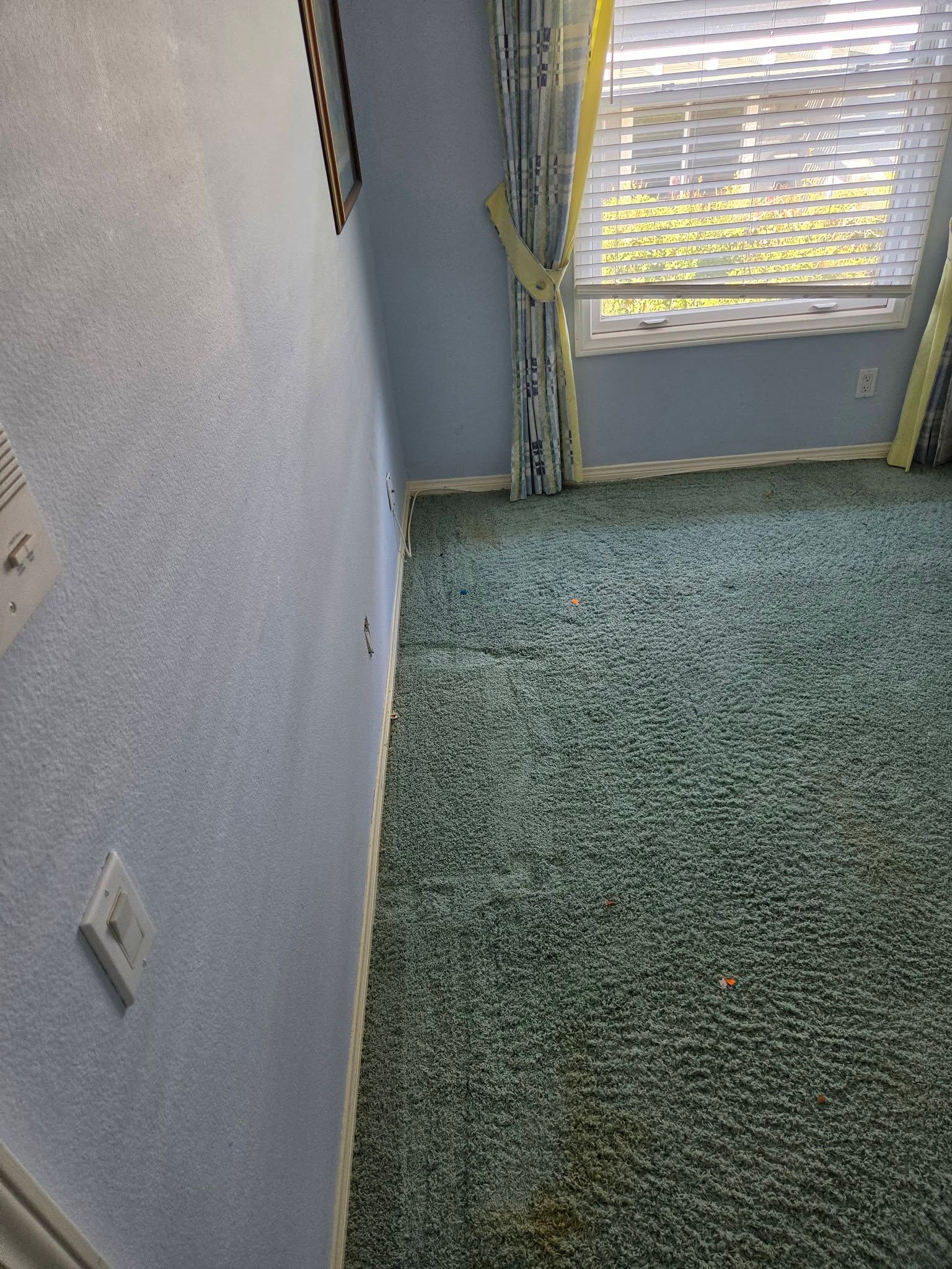 Empty carpeted room with light blue walls, window blinds, and sunlight on the floor.