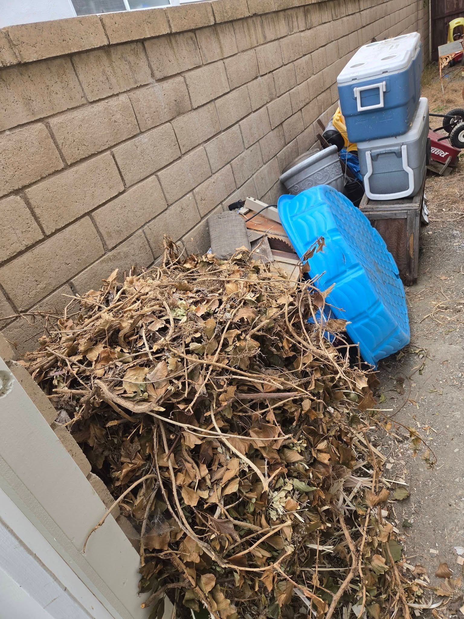 Pile of dry yard debris beside a brick wall, with blue plastic bins tipped over nearby.