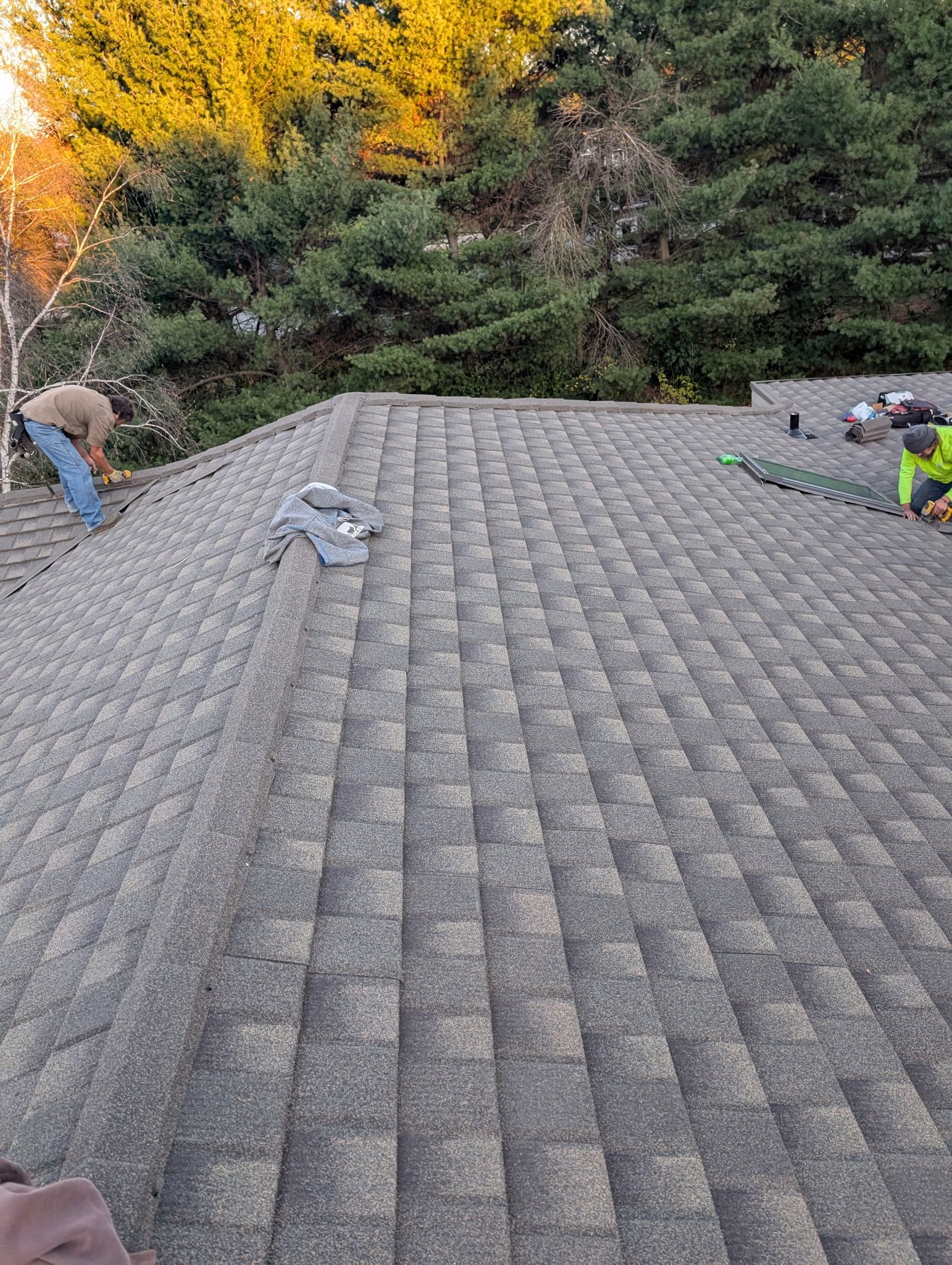 Workers on a shingled roof, trees in the background, daytime.