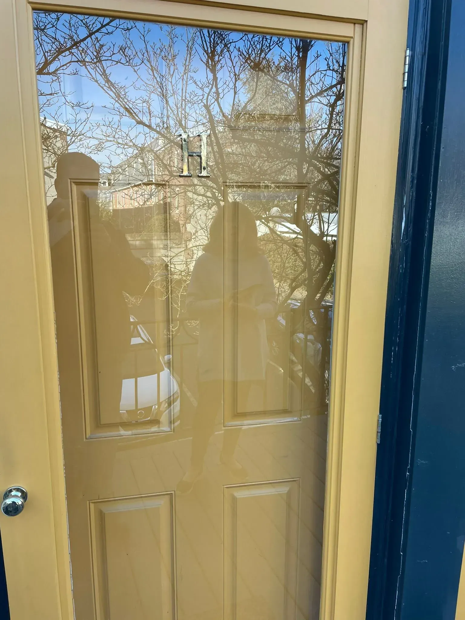 Tan door with glass panel reflecting a tree, sky, and shadow of a person.