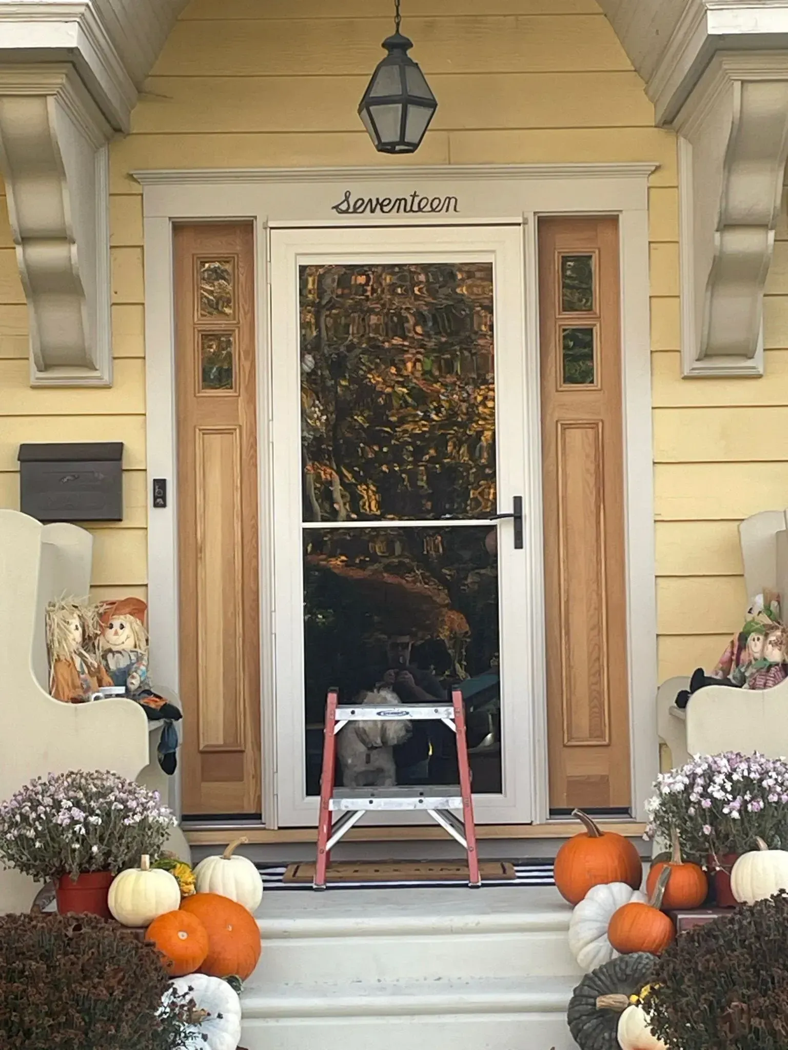Yellow house front porch with pumpkins and mums. Screen door with a ladder inside.