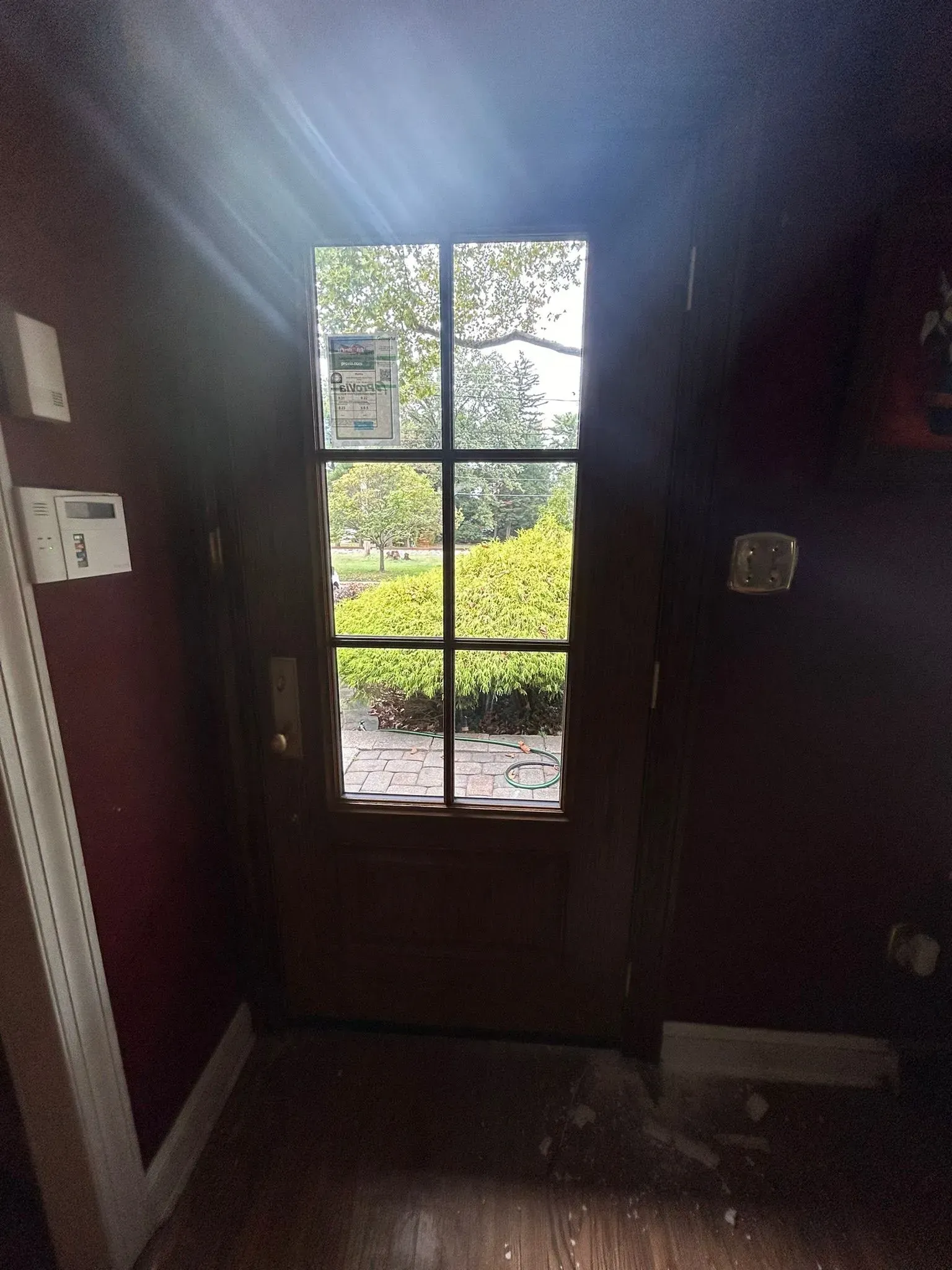 Door with multi-pane window, open to a green outdoor scene. Interior walls are dark red.
