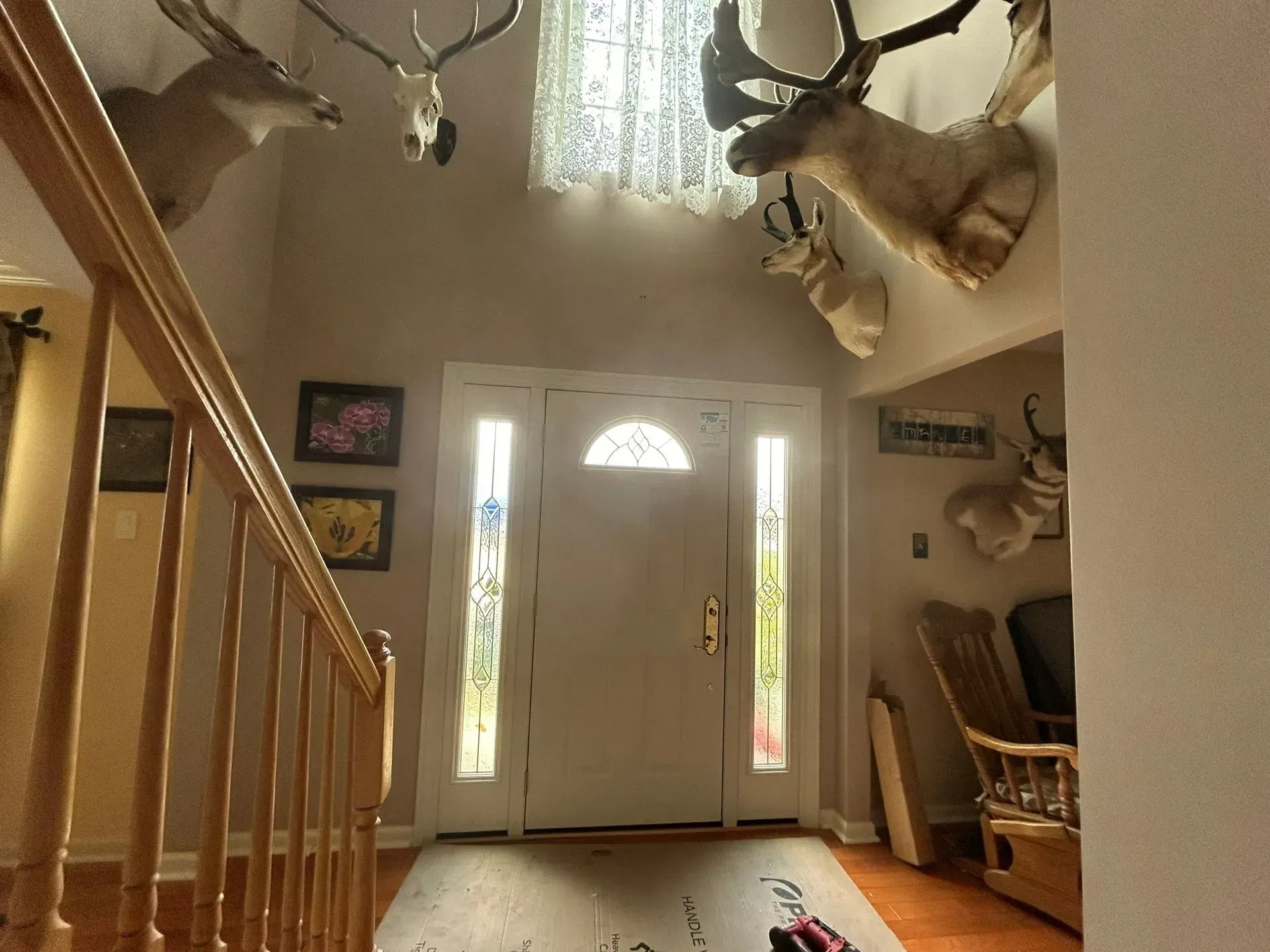 A bright entryway with a door, sidelights, and several taxidermied deer heads mounted on the walls.