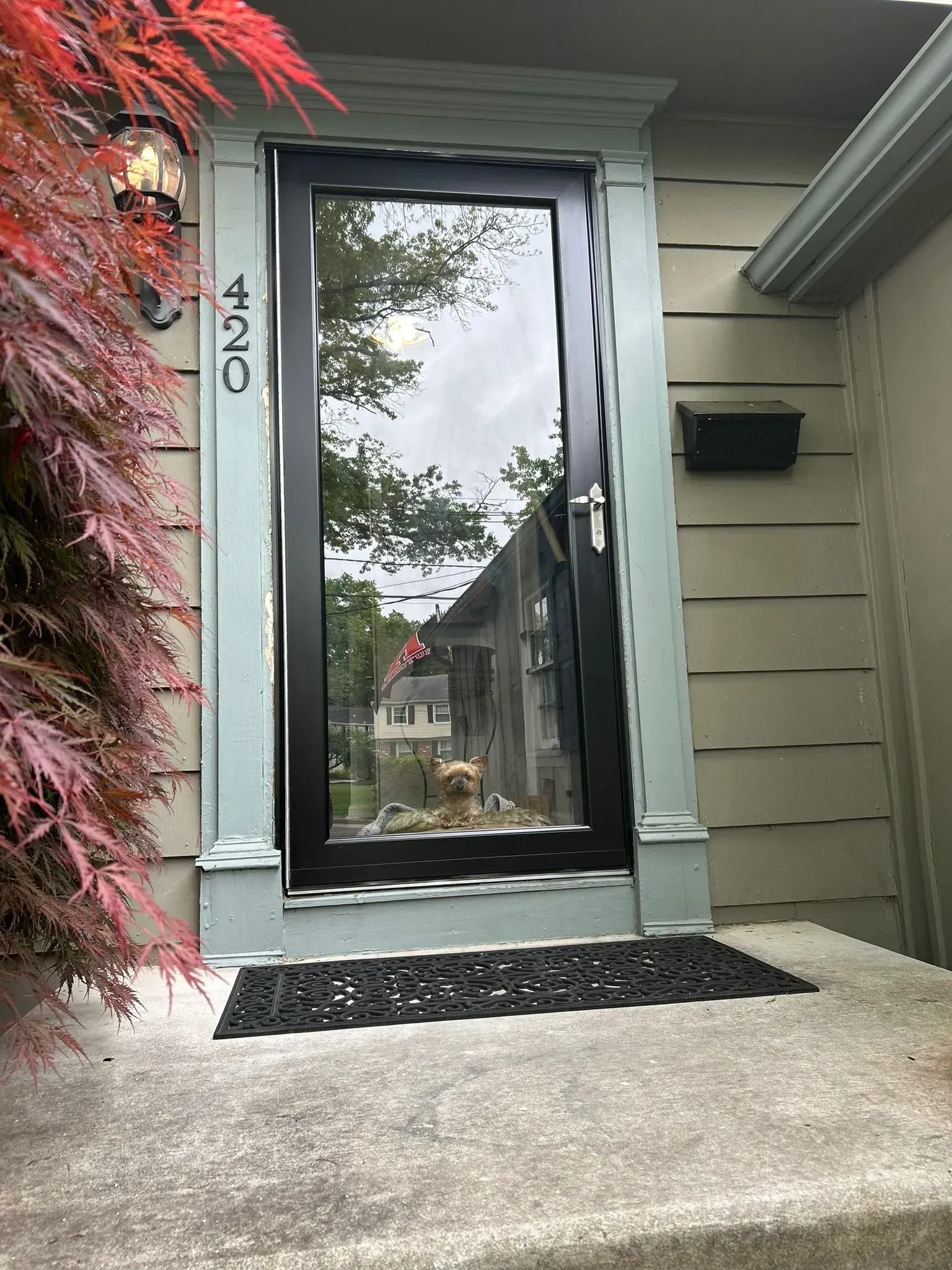 Black framed glass door at entrance of a house, address 