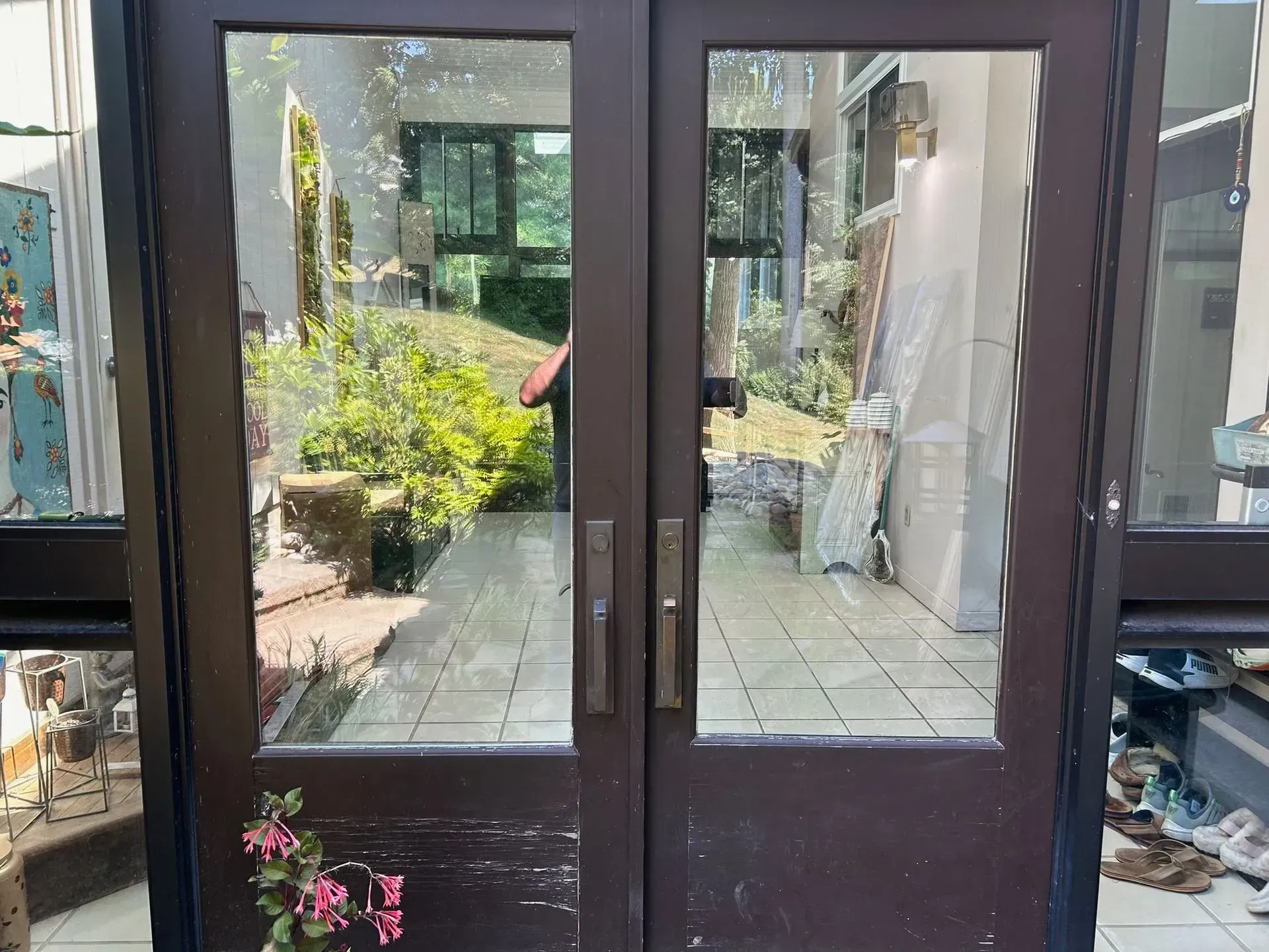 Brown double doors with glass panels, reflecting a bright outdoor area with foliage.