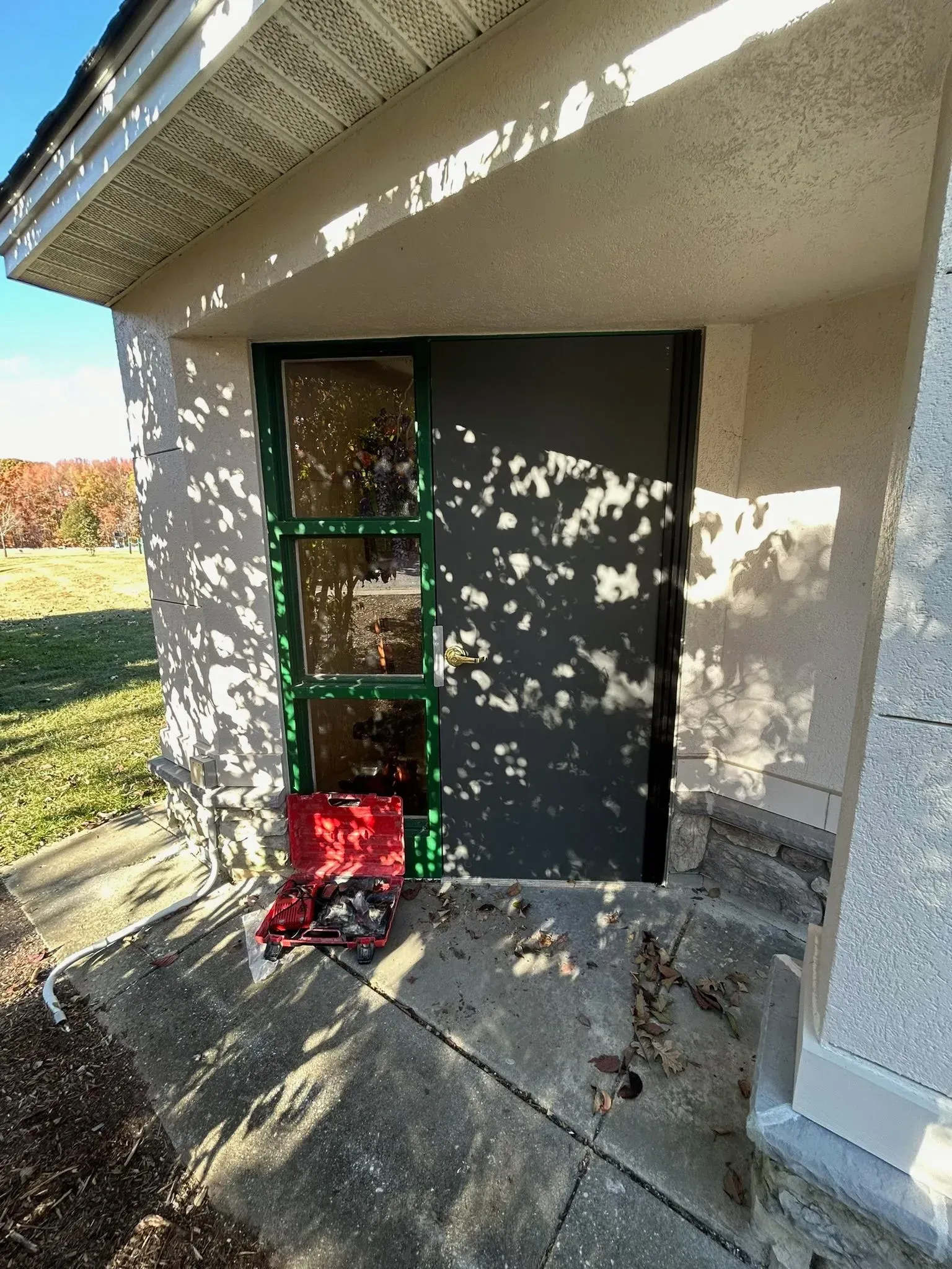 Green-framed basement door, gray walls, red bin below. Shadows from foliage cast on the wall.