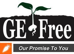 A logo for ge free our promise to you