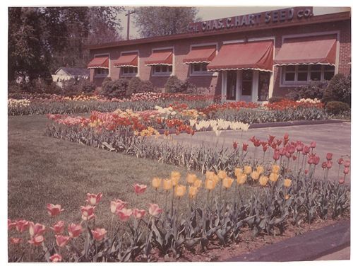 A picture of a building with flowers in front of it