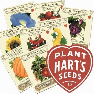 Plant hart 's seeds is a company that sells seeds.