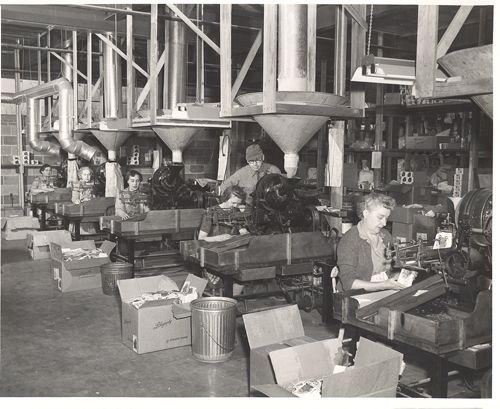 A black and white photo of people working in a factory