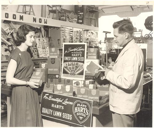 A man and woman are standing in front of a display of hart 's quality lawn seeds