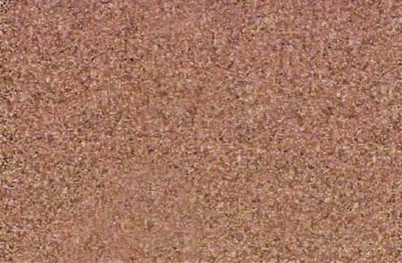 sunset-rose-vase-color