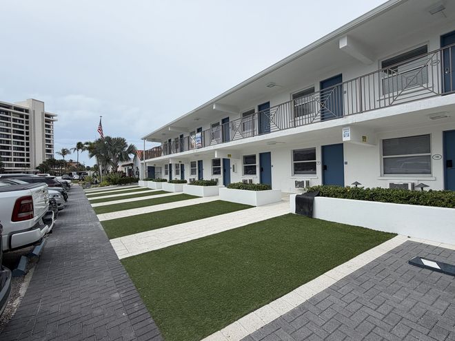 Lush green lawn with a tree trunk in the corner, some plants in the background, and a sidewalk edge.