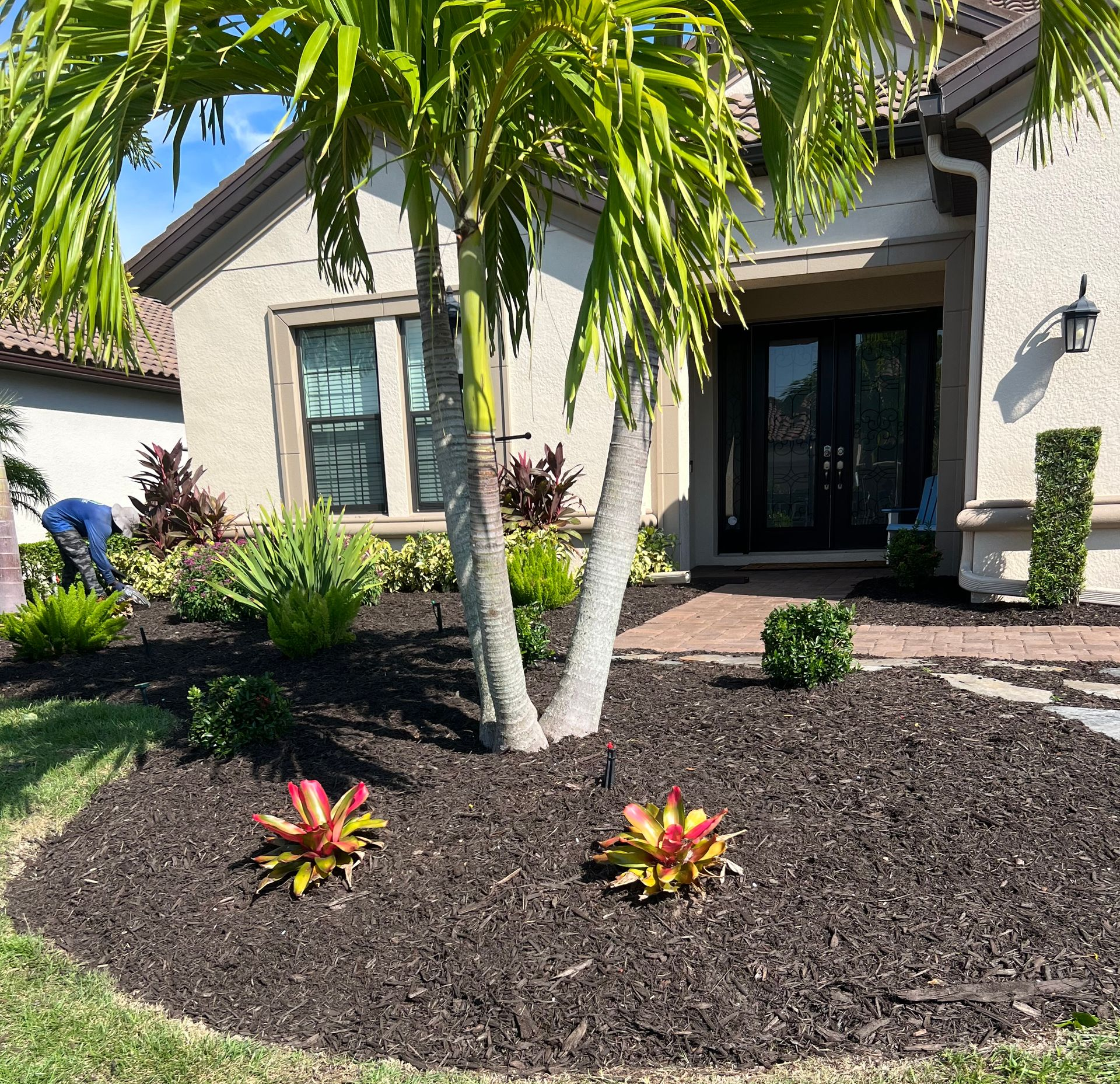 Landscaped front yard with palm tree, dark mulch, colorful plants, and a person working.