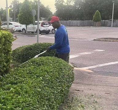 Superstar Landscaping