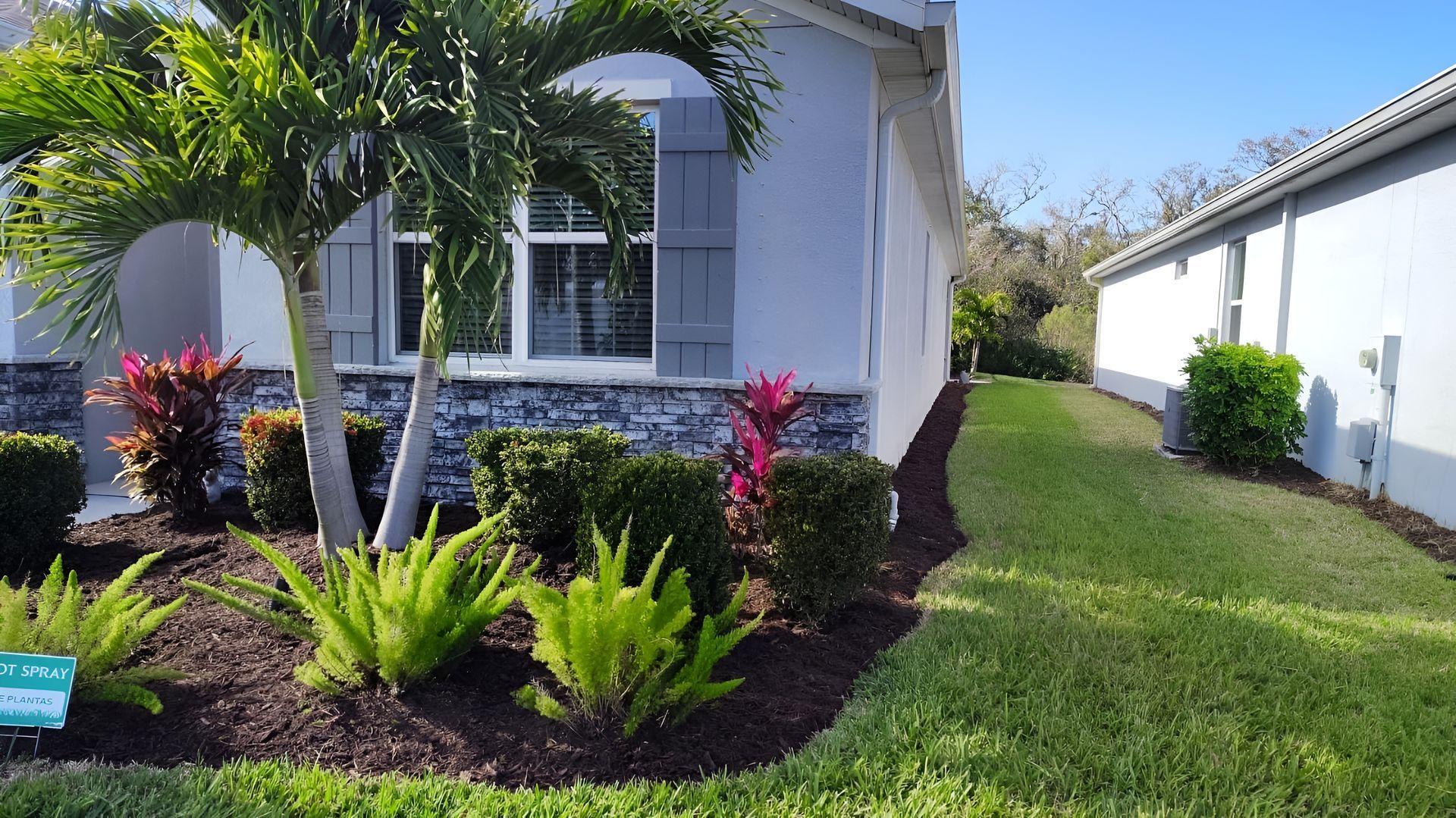 A house with landscaping, including a palm tree and green lawn, against a clear blue sky.