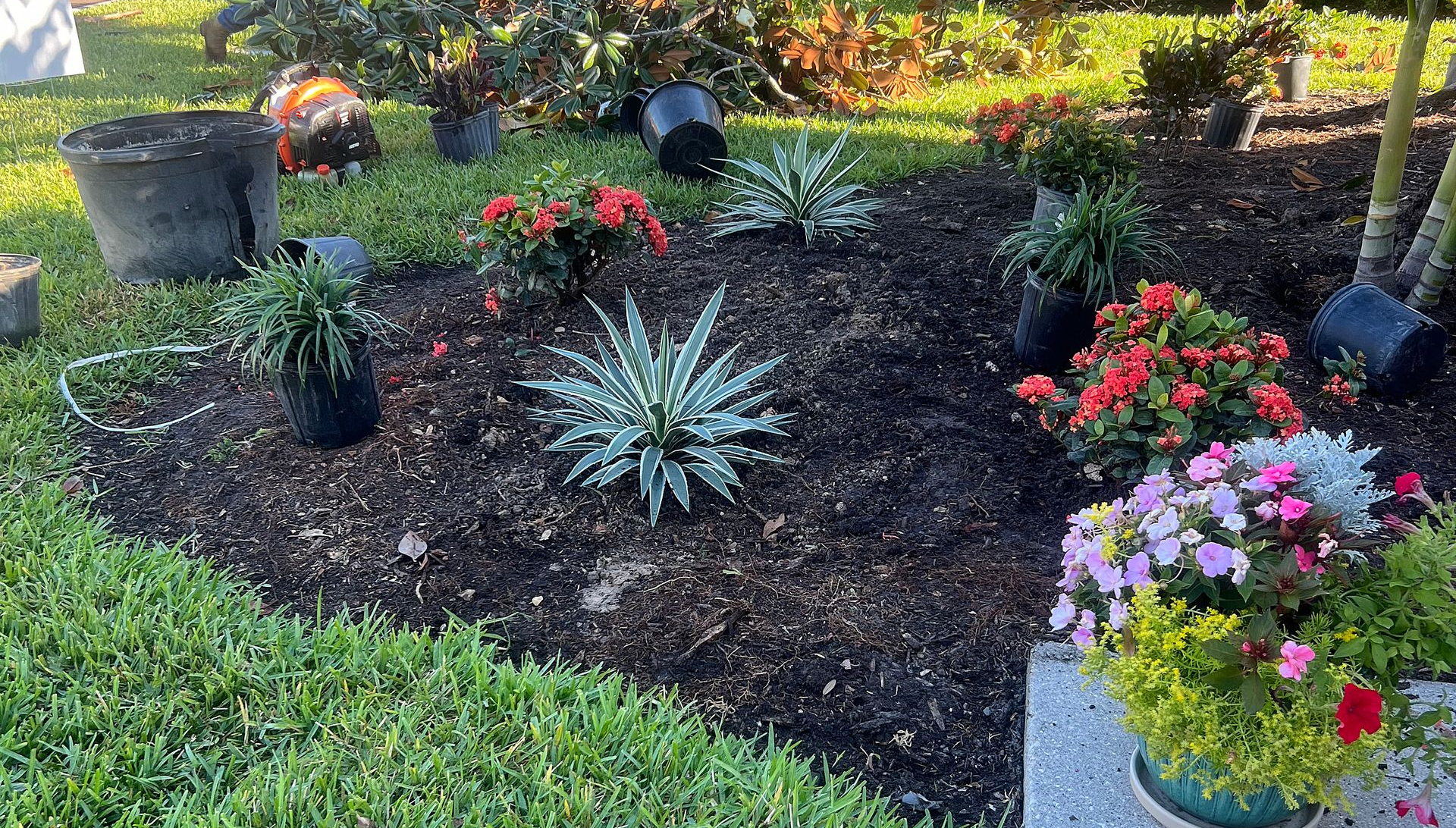 A garden bed with various flowering plants in front of green grass. Mulch and pots are visible.