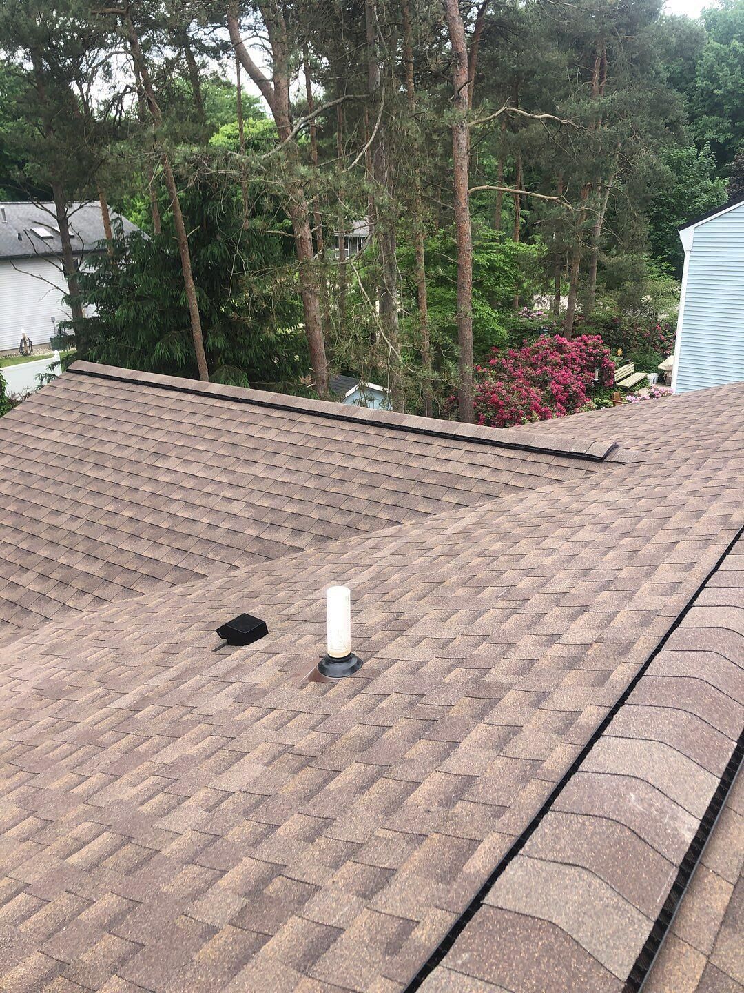 Brown shingled roof with a vent pipe; trees and a house in the background.