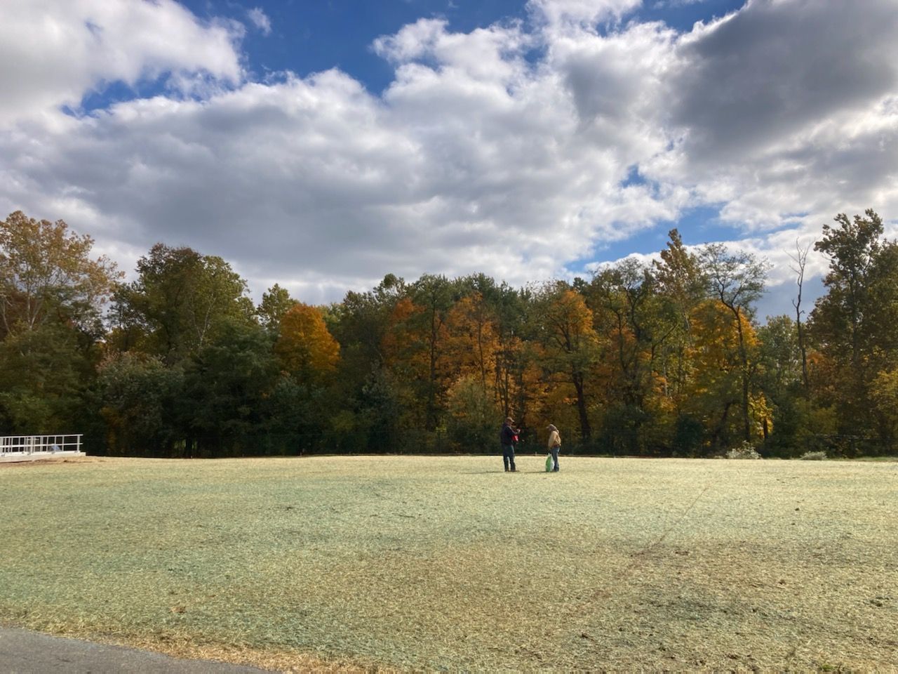 Seeding & Erosion Control