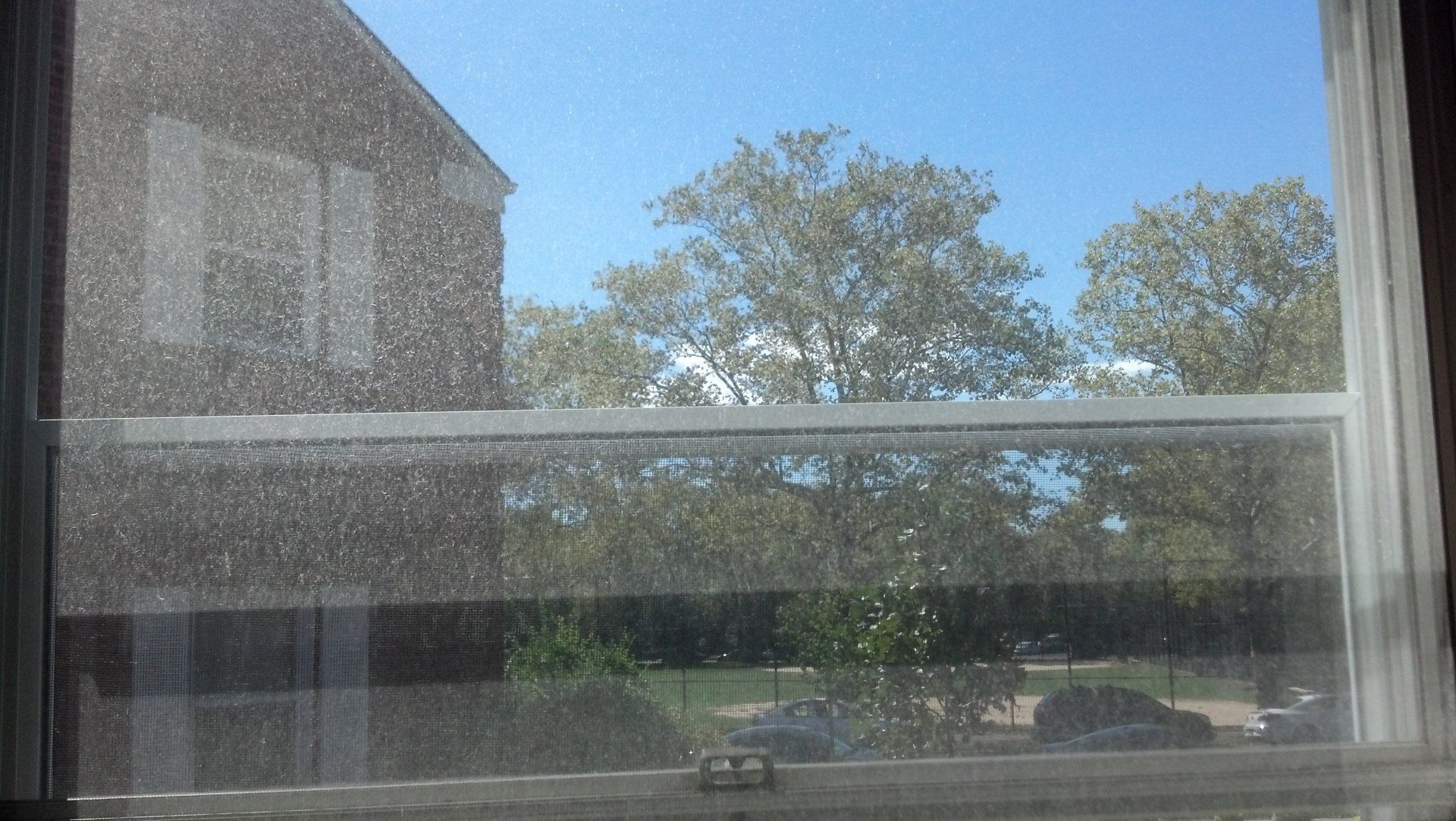 Before window cleaning