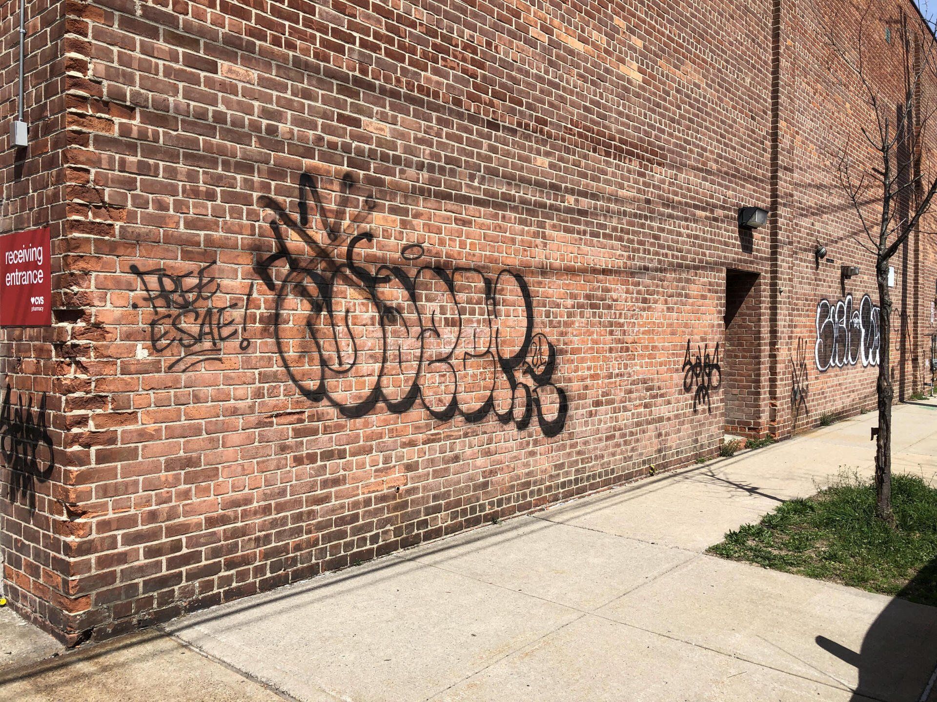 Before brick wall cleaning