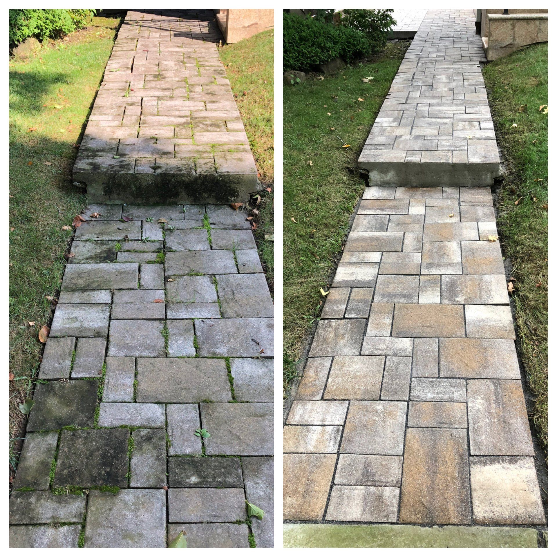 Brick walkeay cleaning