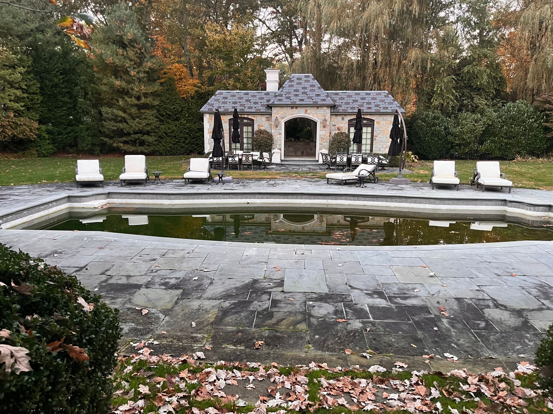 A large swimming pool with chairs and umbrellas in front of a house