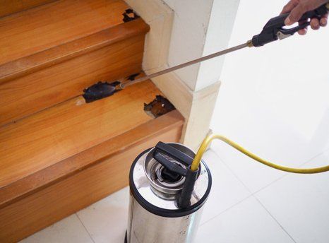 A person is spraying a mouse on a wooden staircase.