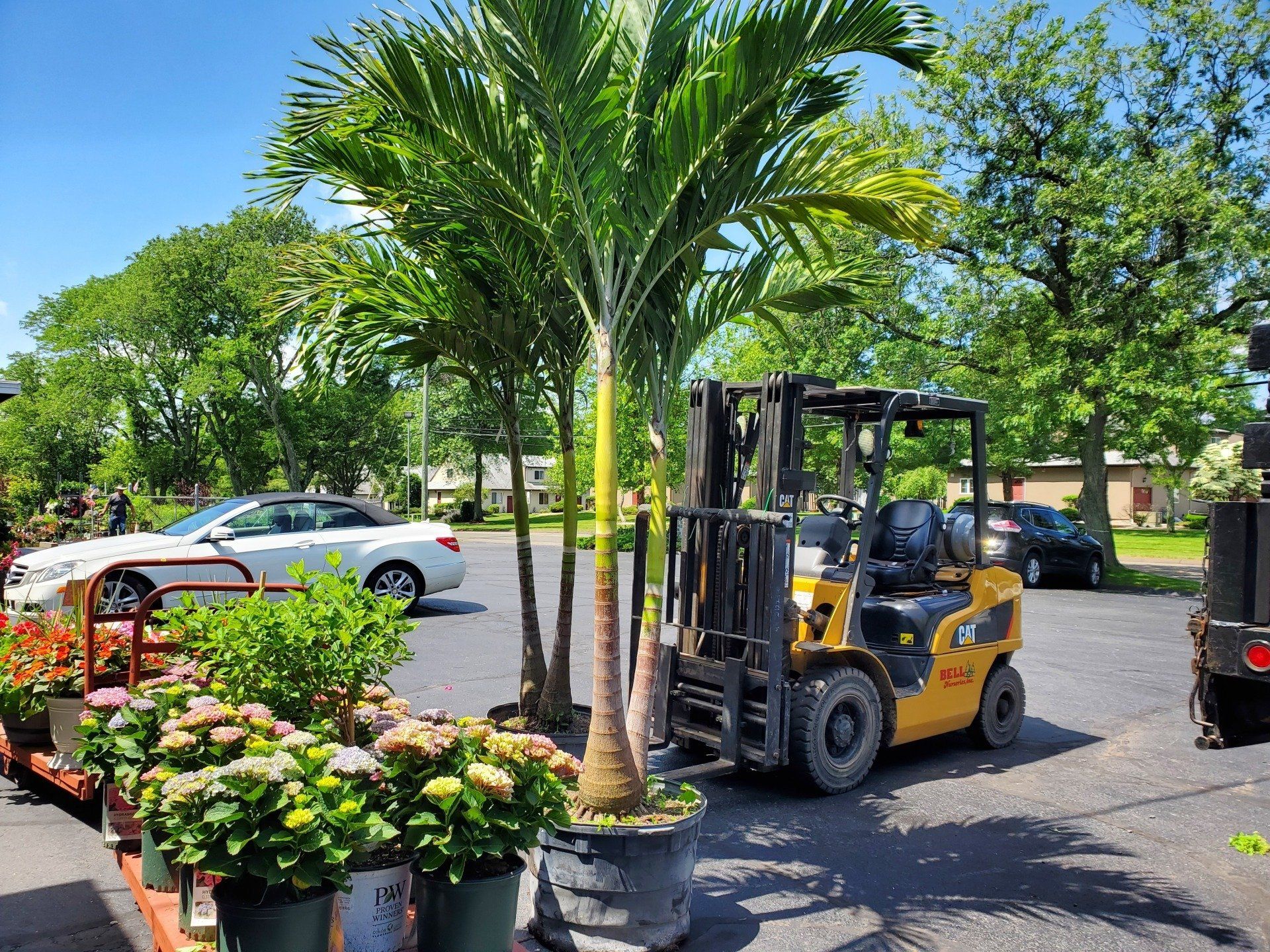 Bell Nurseries Inc Photo Gallery North Haven, CT