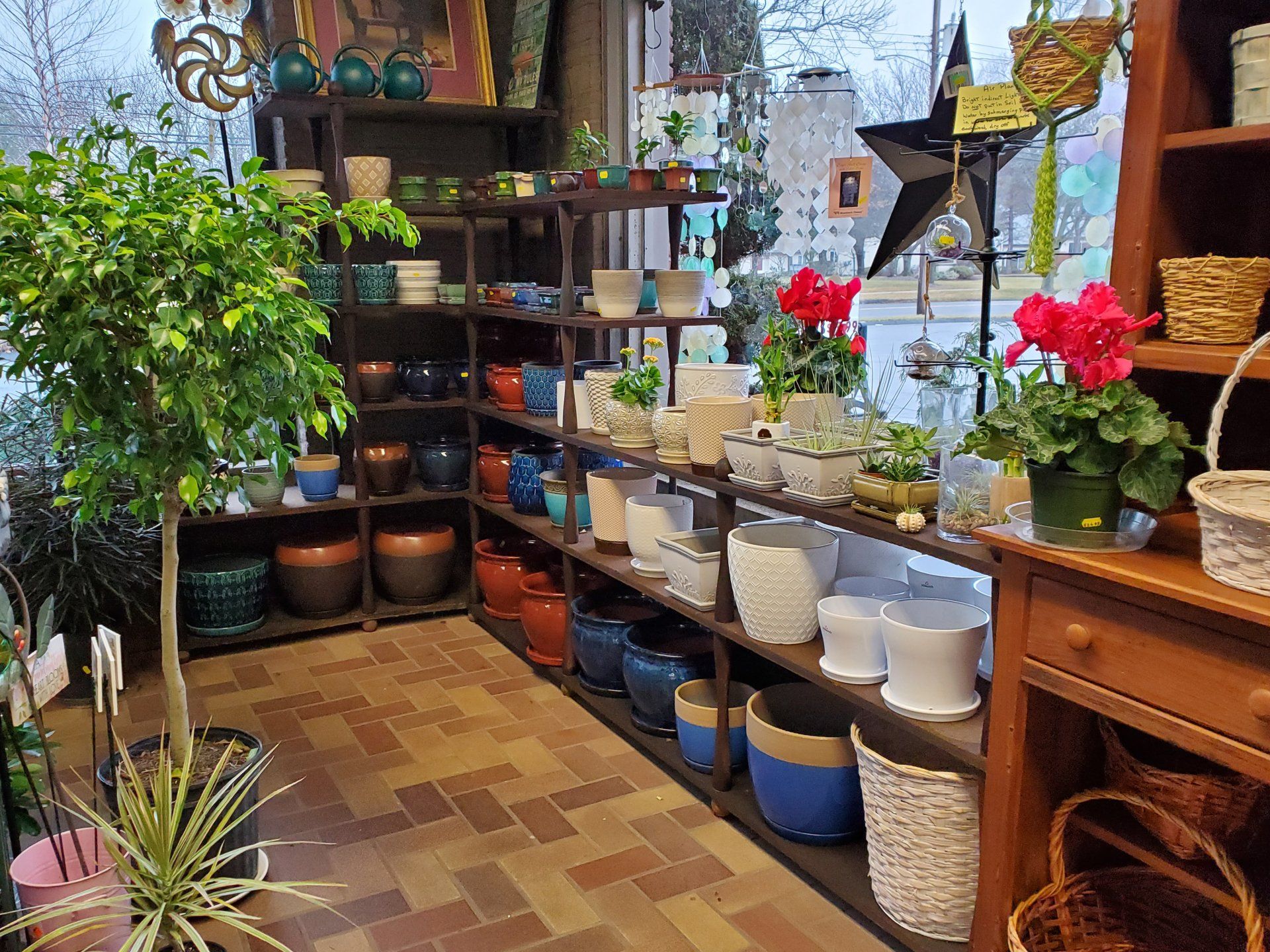 Bell Nurseries Inc Photo Gallery North Haven, CT