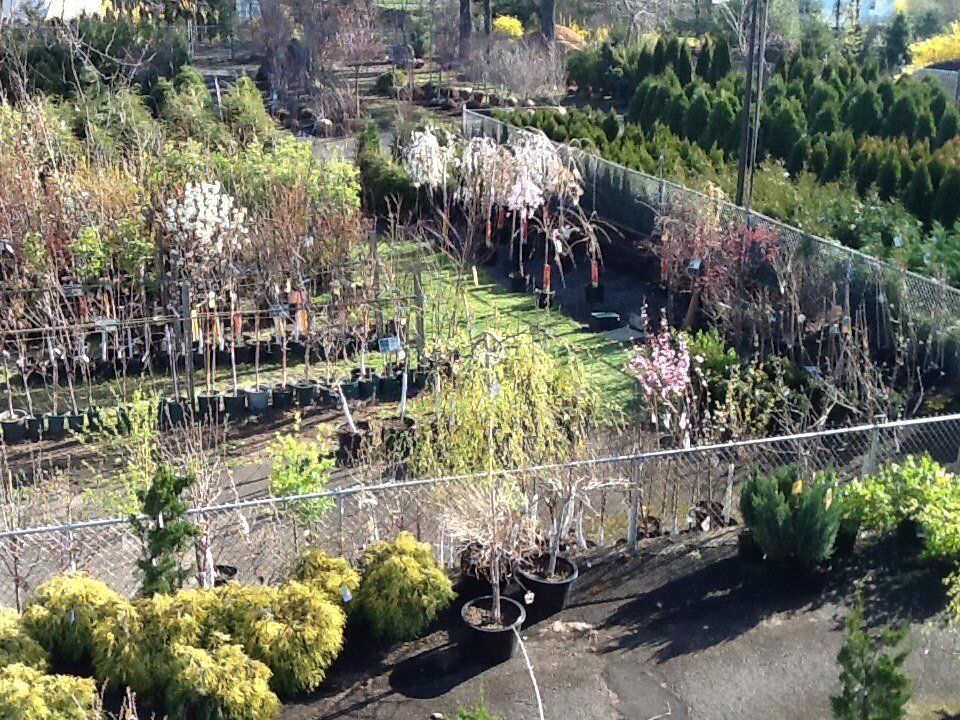 Bell Nurseries Inc Photo Gallery North Haven, CT